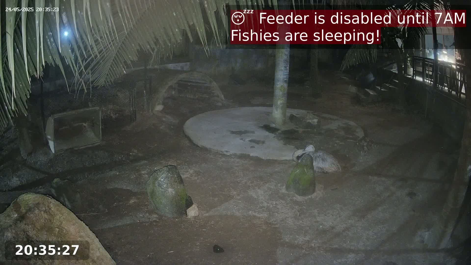 A nighttime outdoor enclosure shows a bird resting near a central concrete circle, under palm trees, with large rocks scattered throughout.