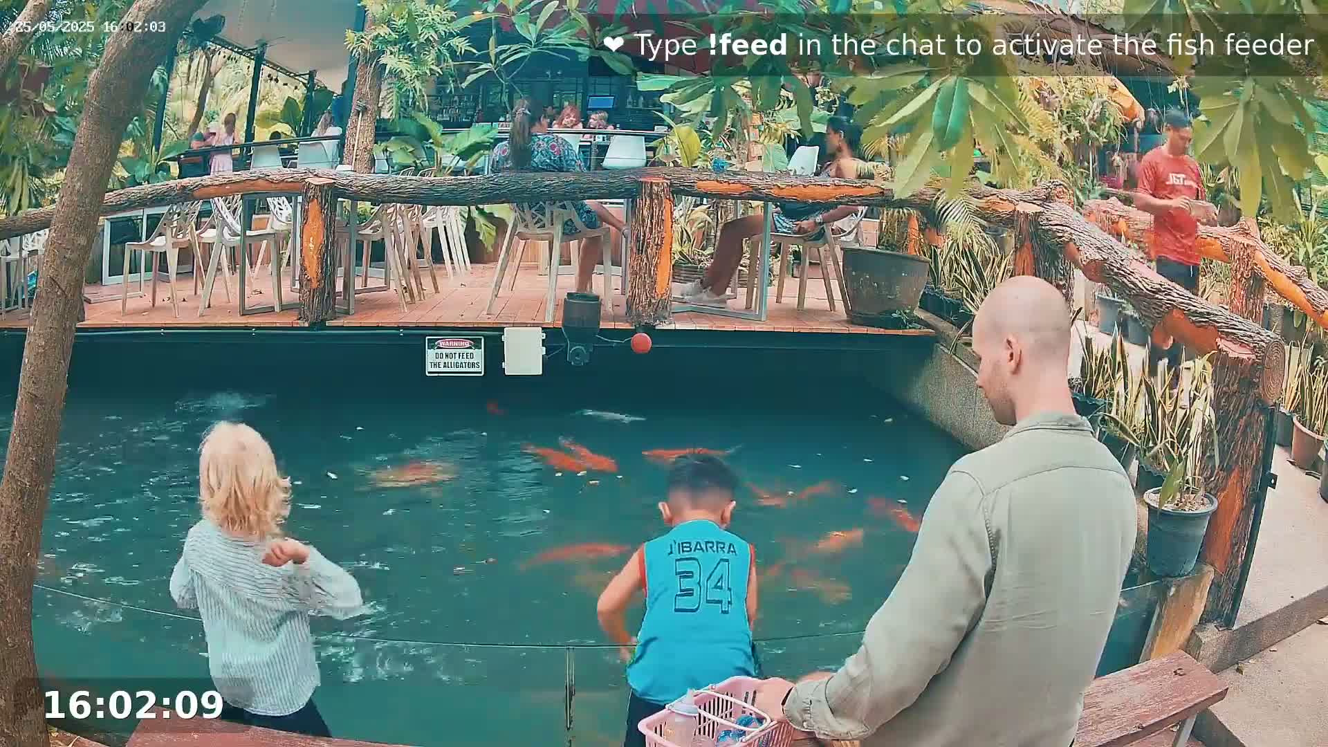 A man and two children stand by a pond filled with orange koi fish, surrounded by outdoor seating and tropical plants under a partly sunny sky.