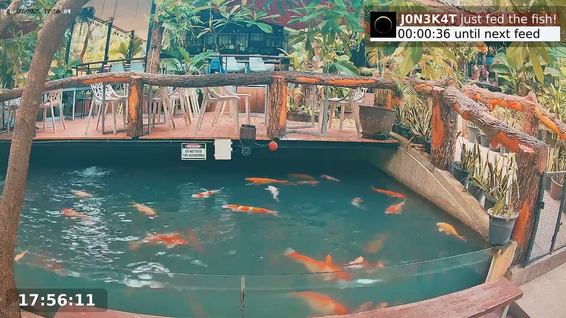 Koi fish swim in a pond next to an outdoor patio with wooden railings and seating under a partially shaded awning.