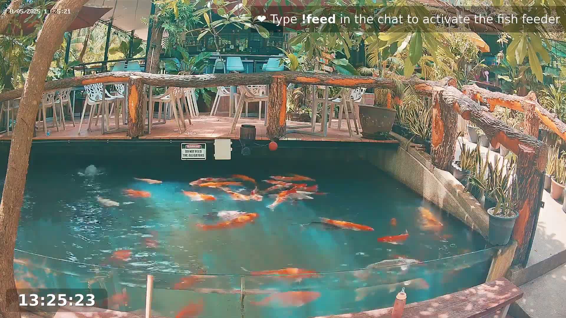Zoo Cafe · Feed the Life of Fishes, Emus, Deers, Turtles, Malas  Live Cam  - Amphoe Ko Pha - Ngan, Surat Thani, Thailand