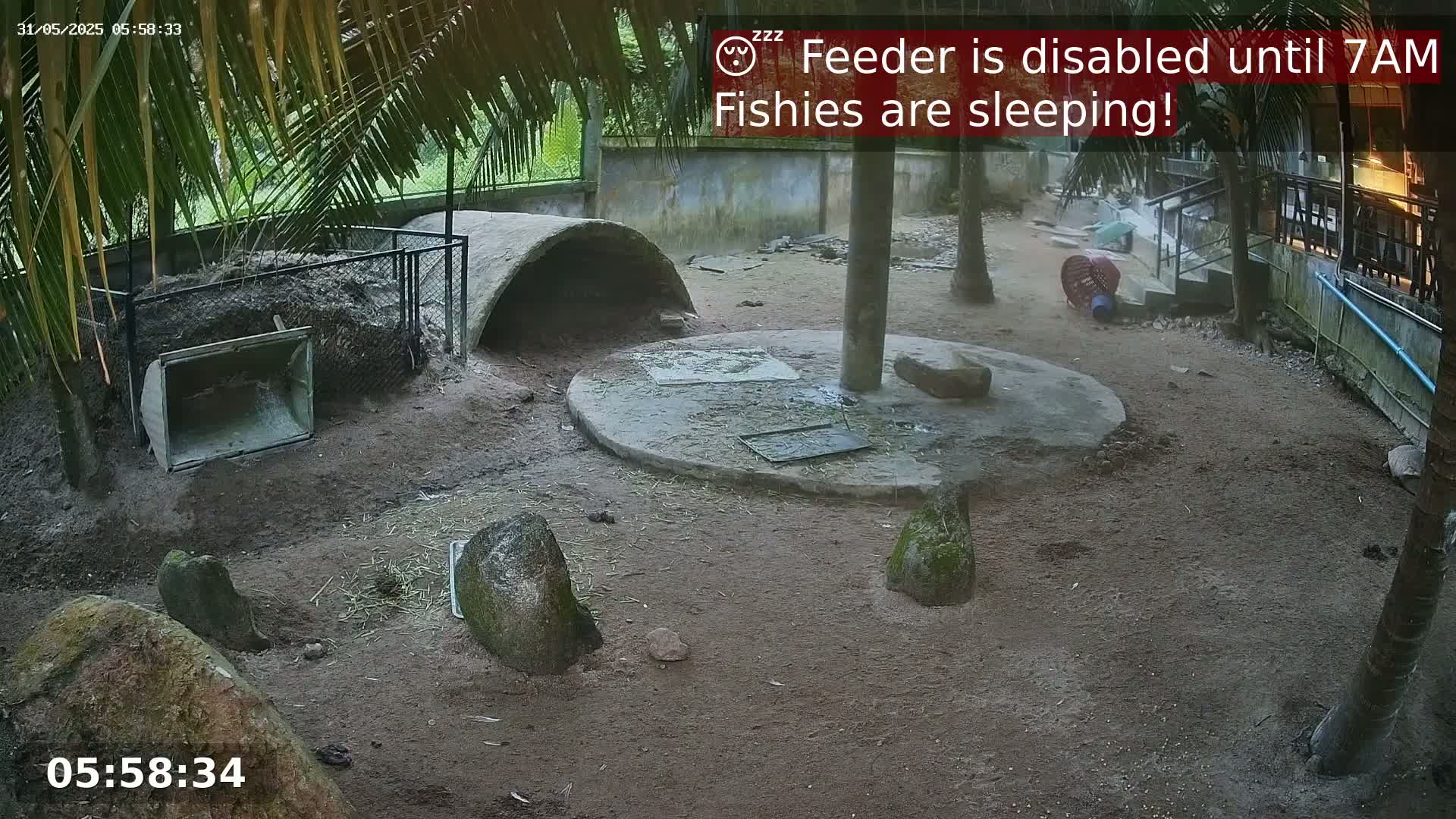 A dirt enclosure, partially shaded by palm trees, contains several rocks, a concrete structure, and a metal enclosure with a pile of dirt inside.