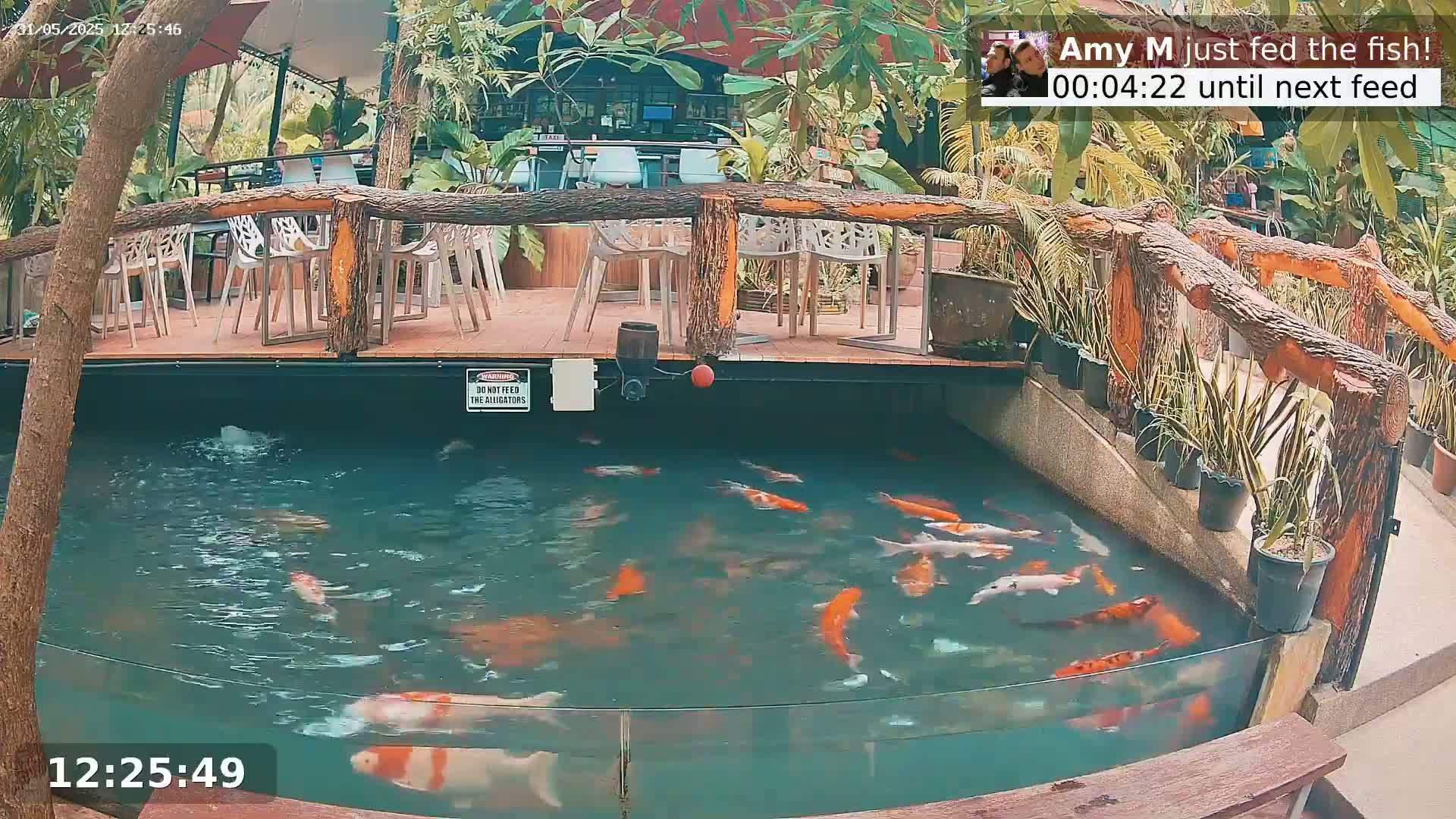 Koi fish swim in a pond next to an outdoor restaurant with wooden railings and potted plants under a partly sunny sky.