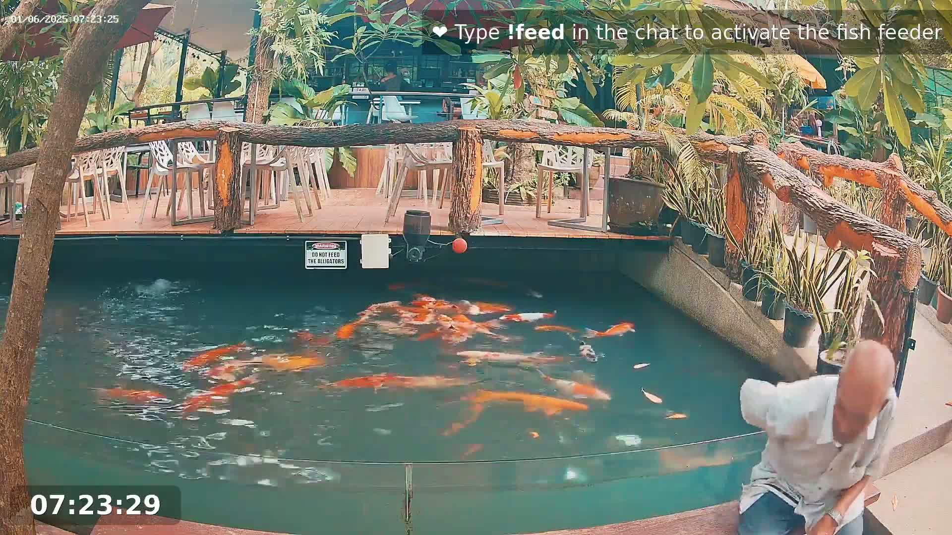 Zoo Cafe · Feed the Life of Fishes, Emus, Deers, Turtles, Malas  Live Cam  - Amphoe Ko Pha - Ngan, Surat Thani, Thailand