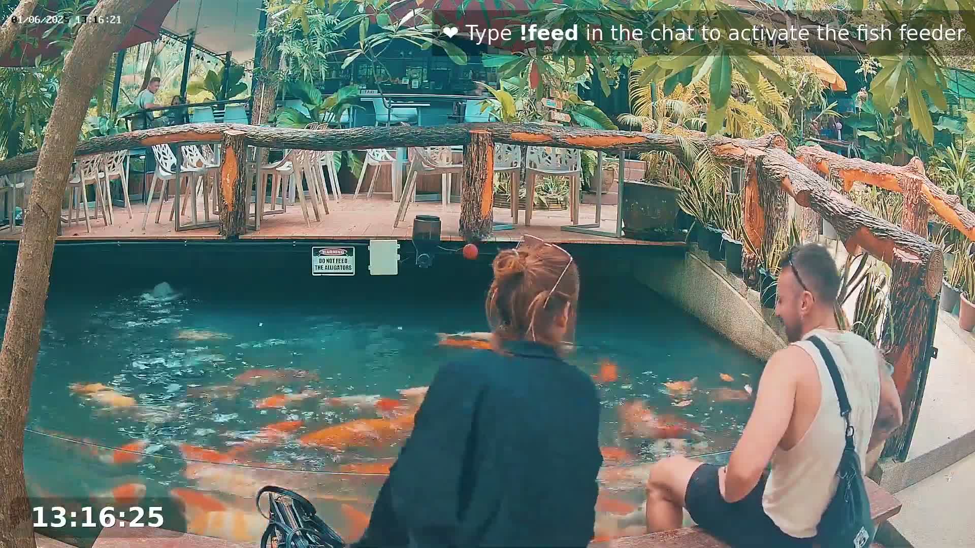Zoo Cafe · Feed the Life of Fishes, Emus, Deers, Turtles, Malas  Live Cam  - Amphoe Ko Pha - Ngan, Surat Thani, Thailand