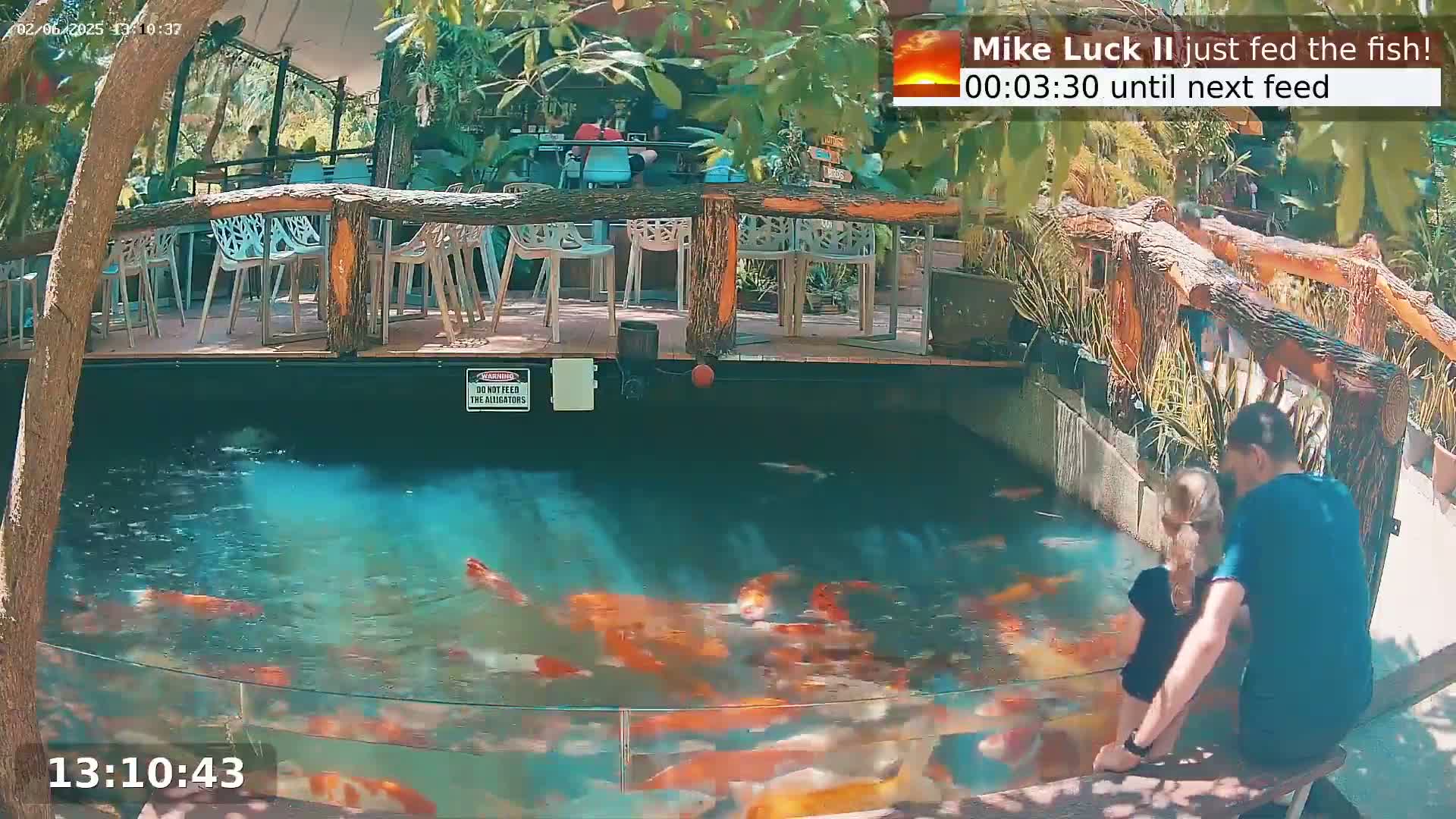 Zoo Cafe · Feed the Life of Fishes, Emus, Deers, Turtles, Malas  Live Cam  - Amphoe Ko Pha - Ngan, Surat Thani, Thailand