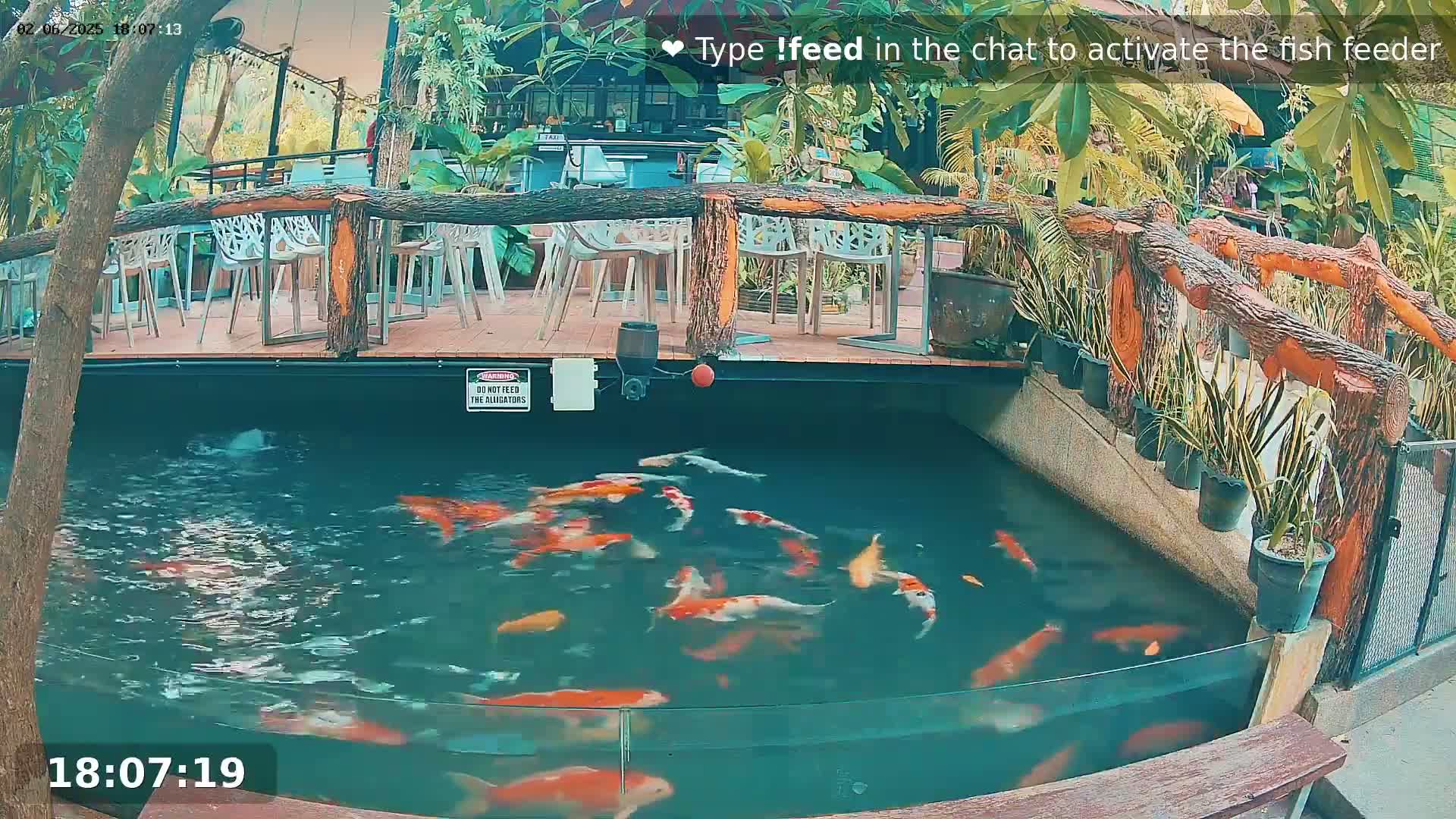 A koi pond with numerous orange and white fish is situated below an outdoor patio area with wooden railings and several empty chairs and tables.