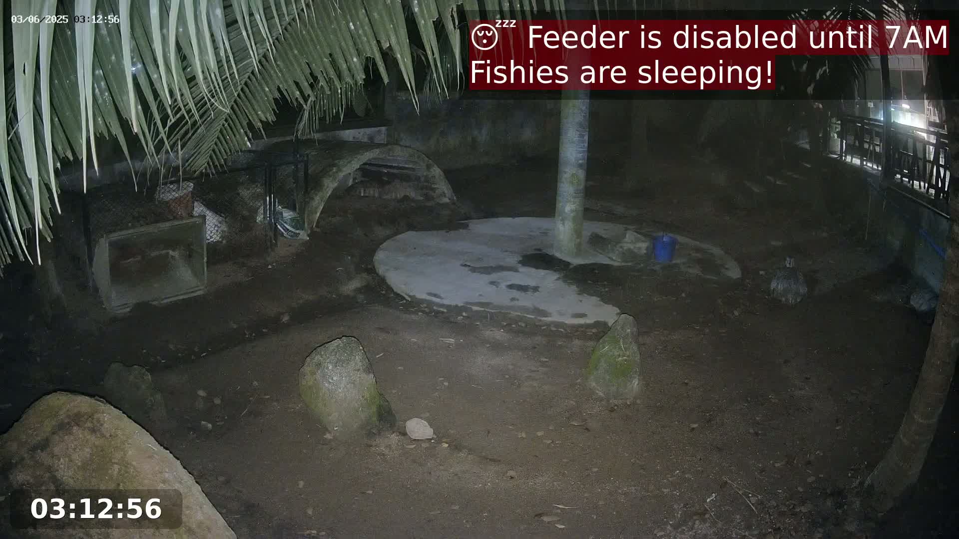 A nighttime outdoor enclosure shows a dirt ground with several large rocks, a concrete circle, and some structures resembling animal shelters, under the cover of palm fronds.