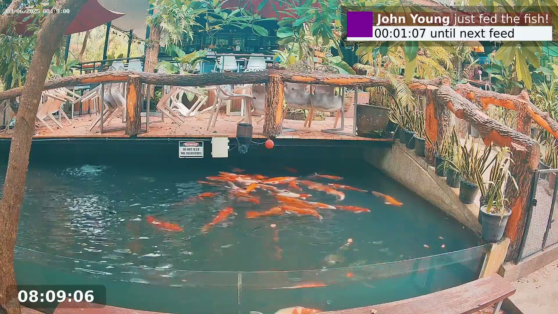 Zoo Cafe · Feed the Life of Fishes, Emus, Deers, Turtles, Malas  Live Cam  - Amphoe Ko Pha - Ngan, Surat Thani, Thailand
