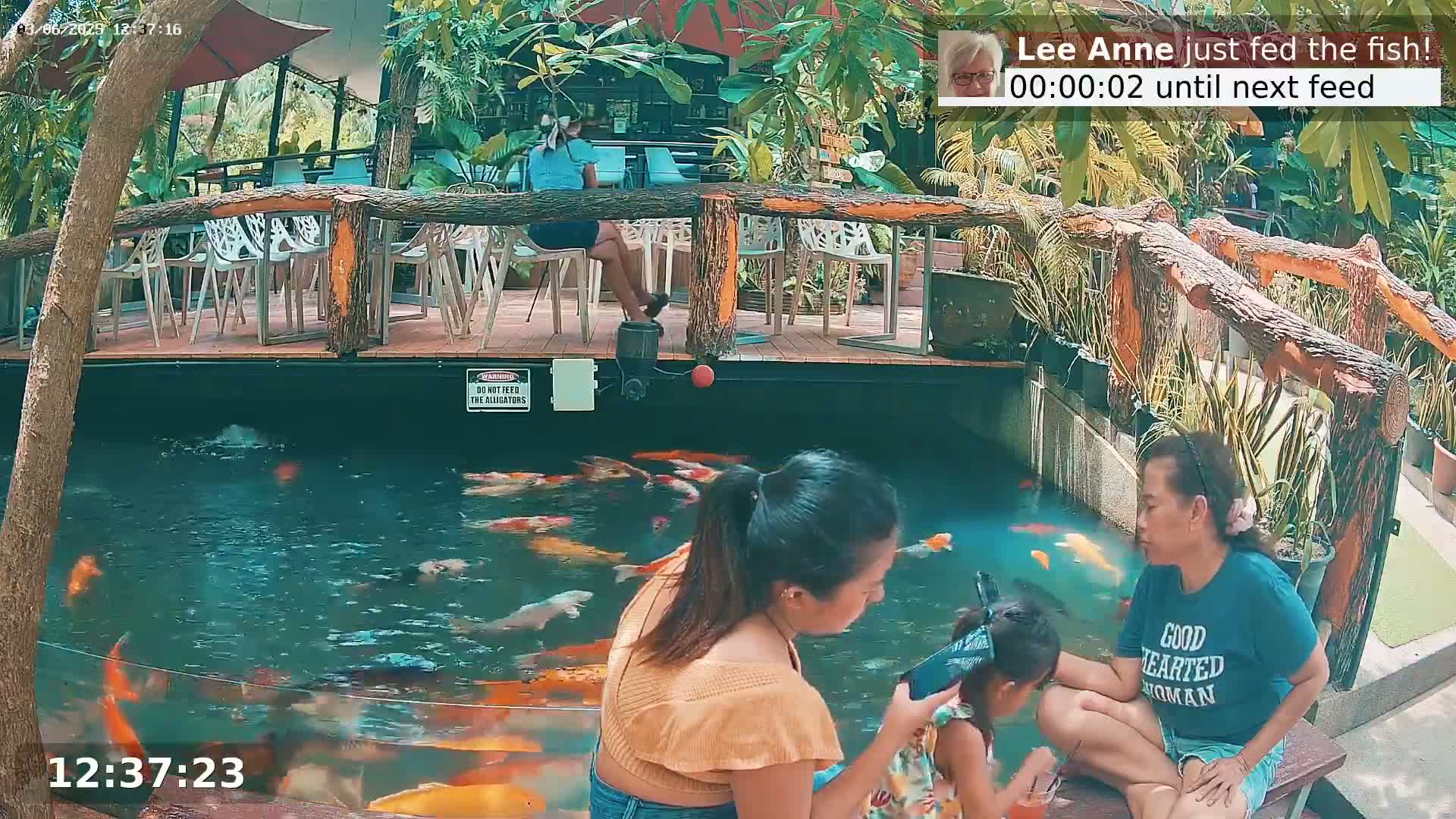 Zoo Cafe · Feed the Life of Fishes, Emus, Deers, Turtles, Malas  Live Cam  - Amphoe Ko Pha - Ngan, Surat Thani, Thailand