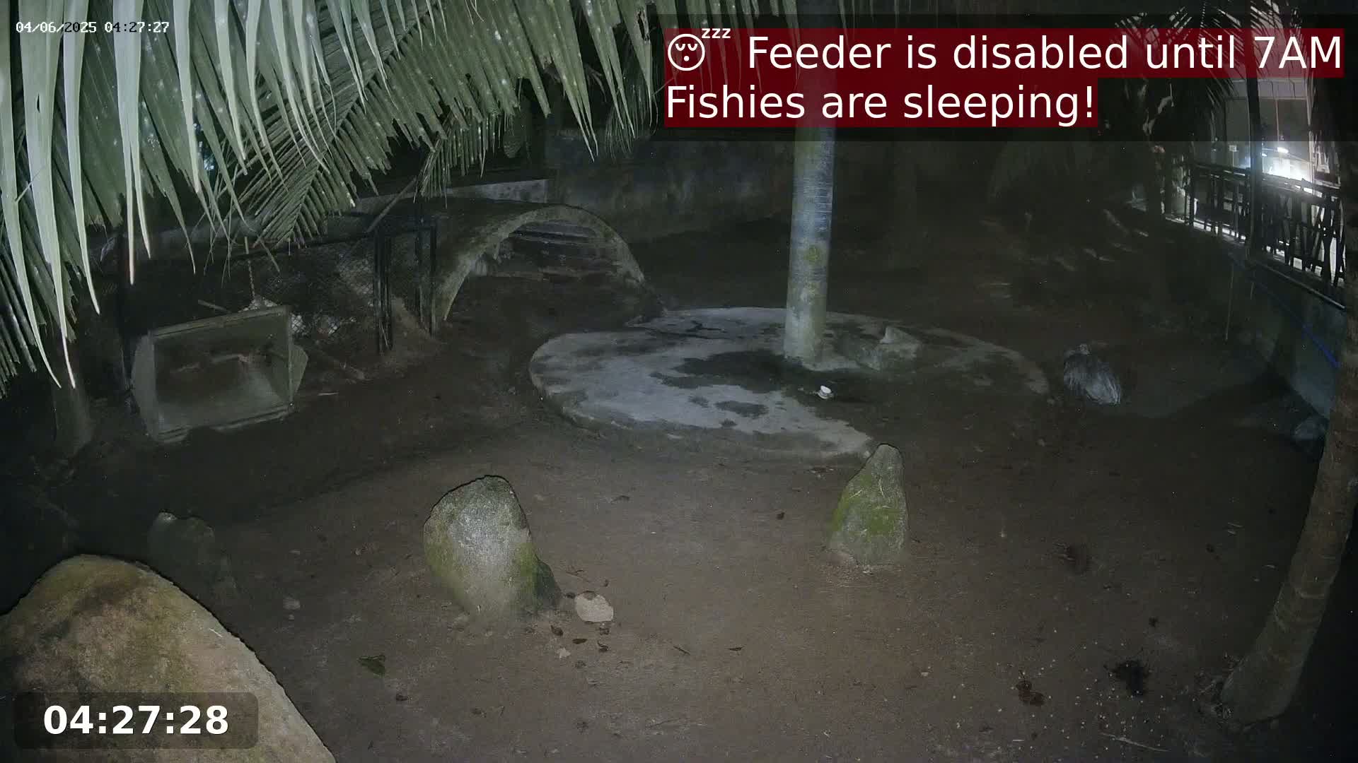 A nighttime outdoor scene shows a dark dirt enclosure with several rocks, a concrete circle, and a curved structure under palm fronds.
