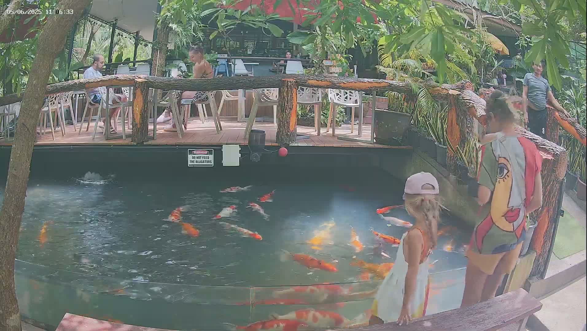Two children stand by a pond containing numerous koi fish, while several adults sit at tables nearby on a partially shaded patio under a leafy, outdoor canopy.