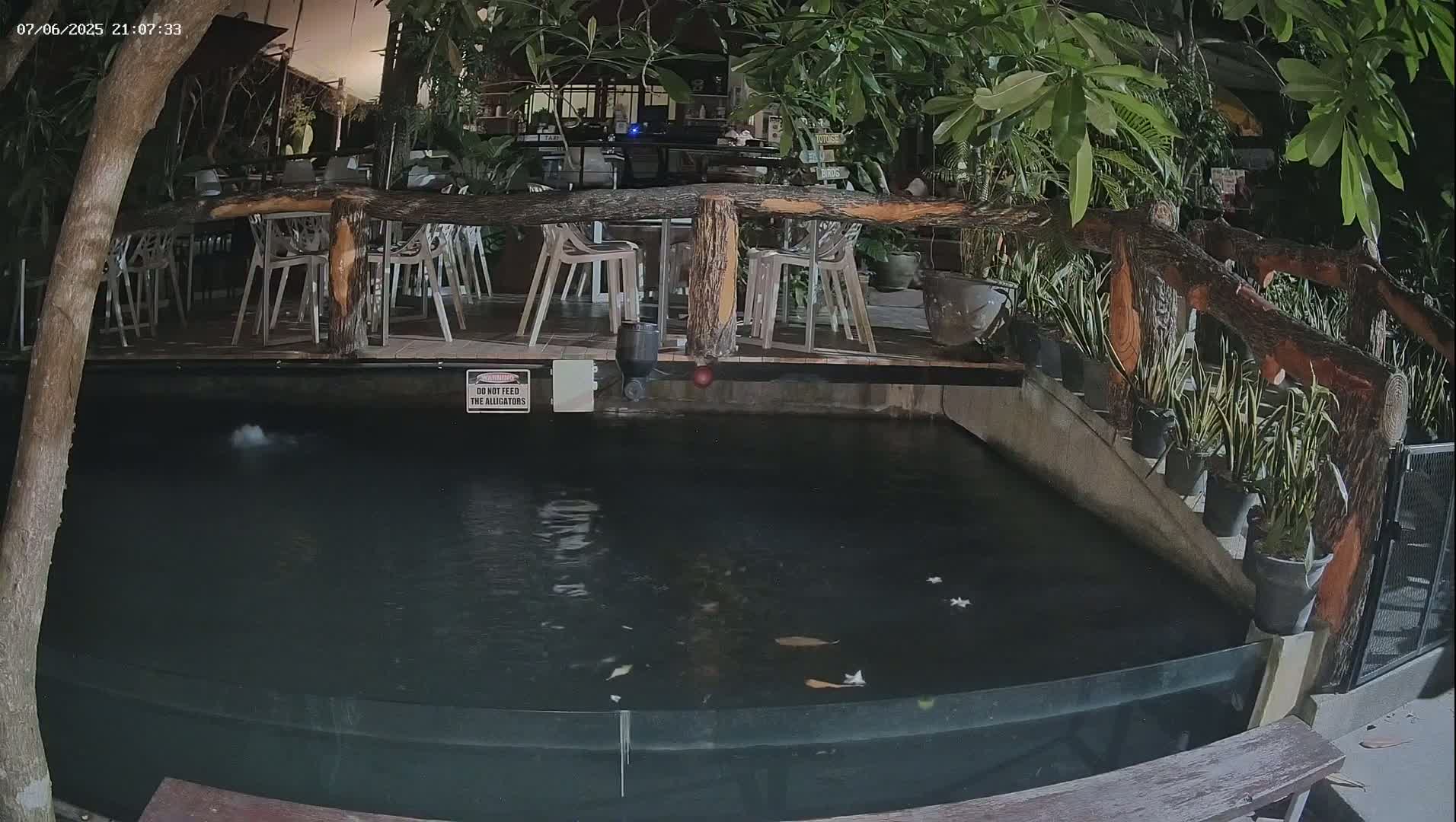 A dark rectangular pond with fish, surrounded by a wooden railing and lush tropical plants, sits next to an outdoor dining area at night.