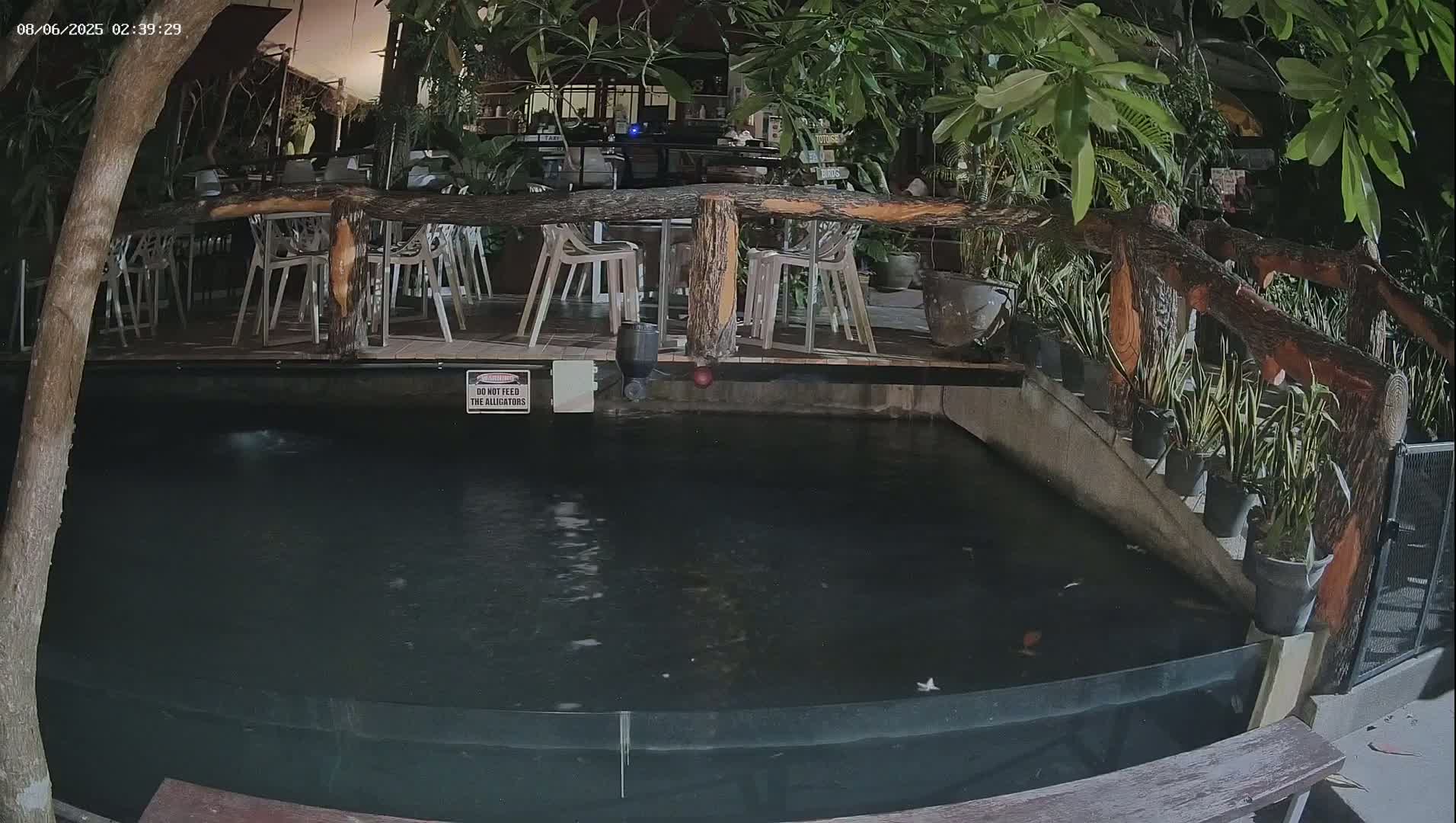 A dark, rectangular pond with a wooden deck and chairs above it, surrounded by lush tropical plants at night.