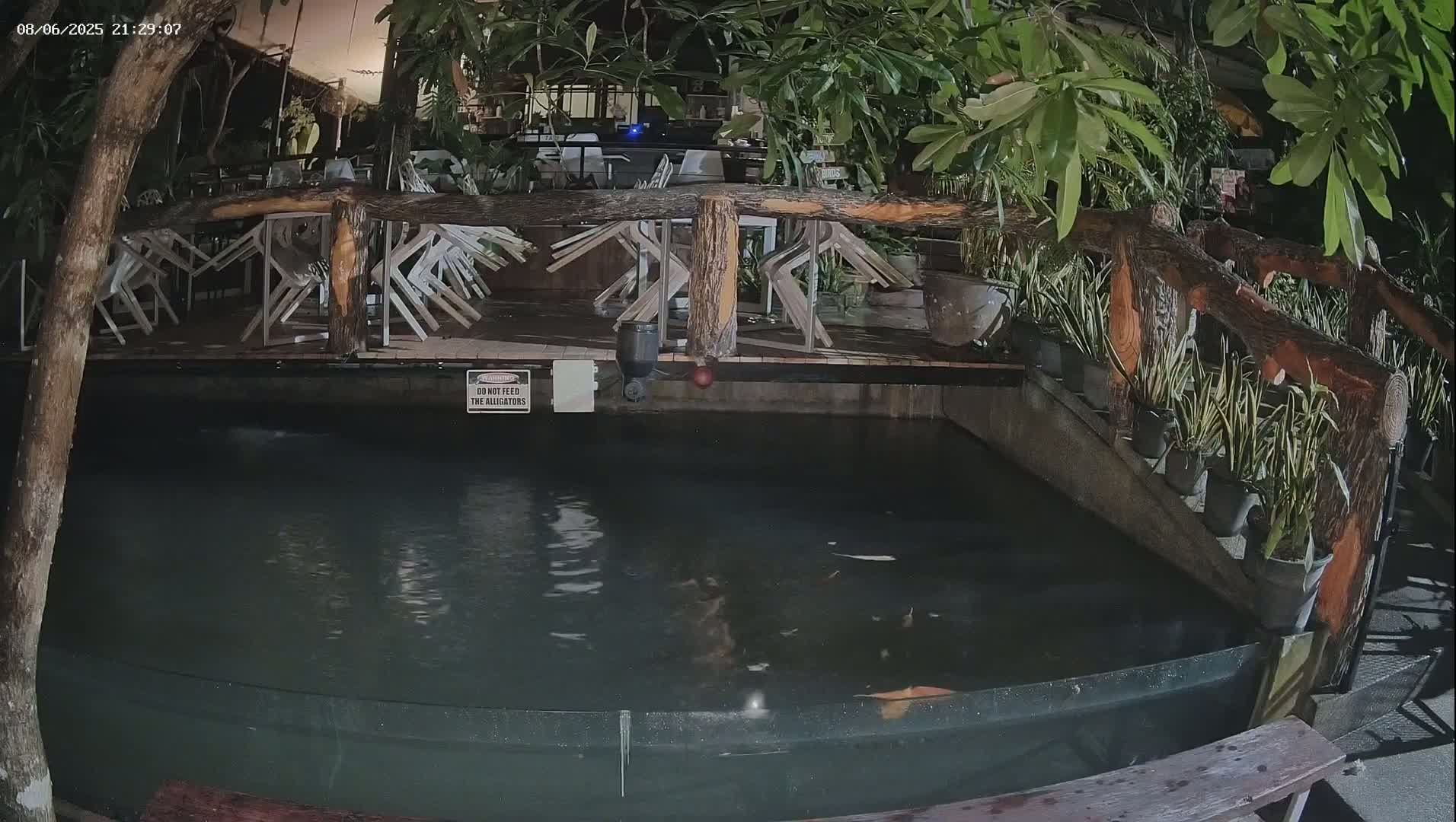 At night, a dark pond containing fish sits below a wooden deck with overturned chairs and lush tropical plants.