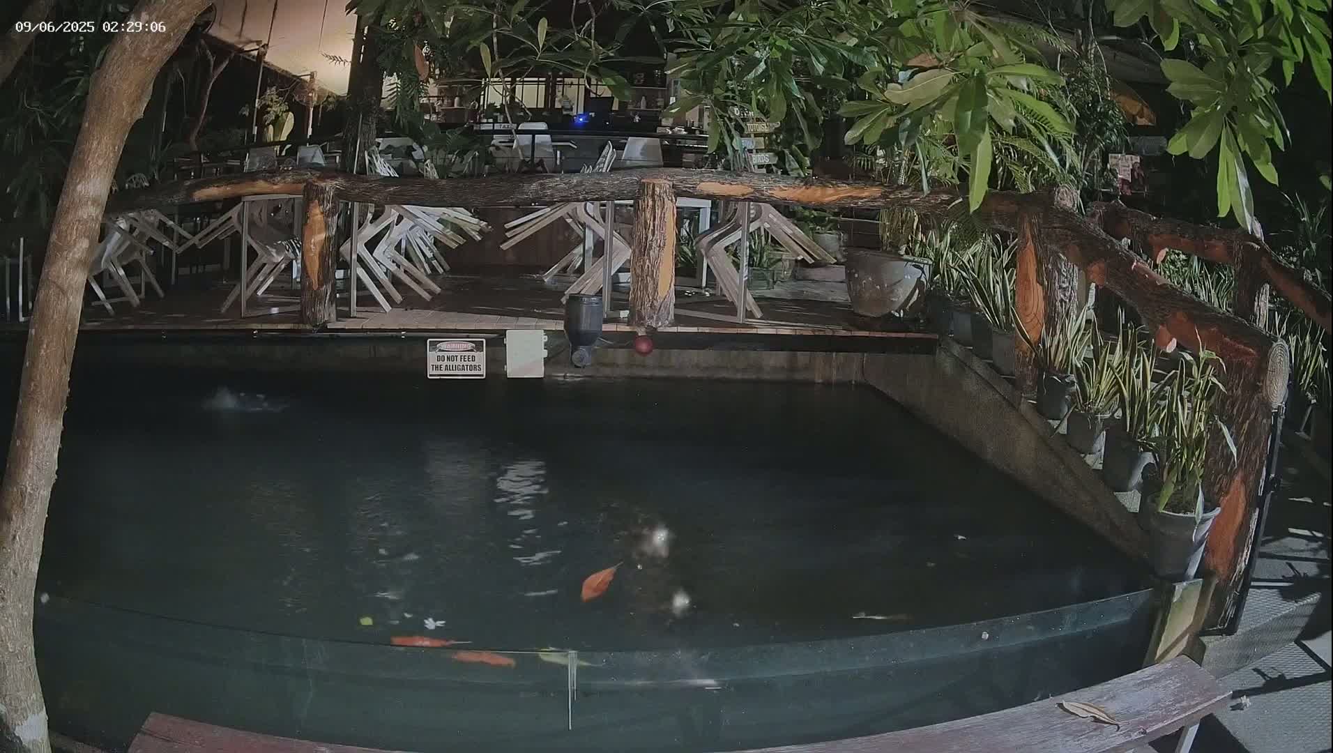 Zoo Cafe · Feed the Life of Fishes, Emus, Deers, Turtles, Malas  Live Cam  - Amphoe Ko Pha - Ngan, Surat Thani, Thailand