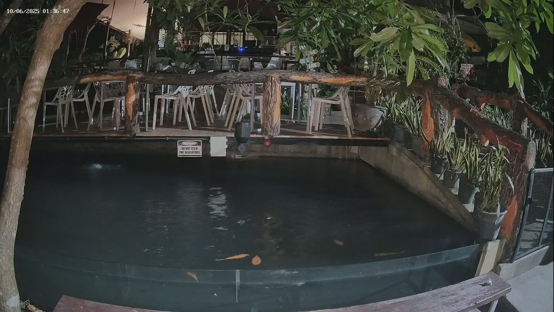Zoo Cafe · Feed the Life of Fishes, Emus, Deers, Turtles, Malas  Live Cam  - Amphoe Ko Pha - Ngan, Surat Thani, Thailand