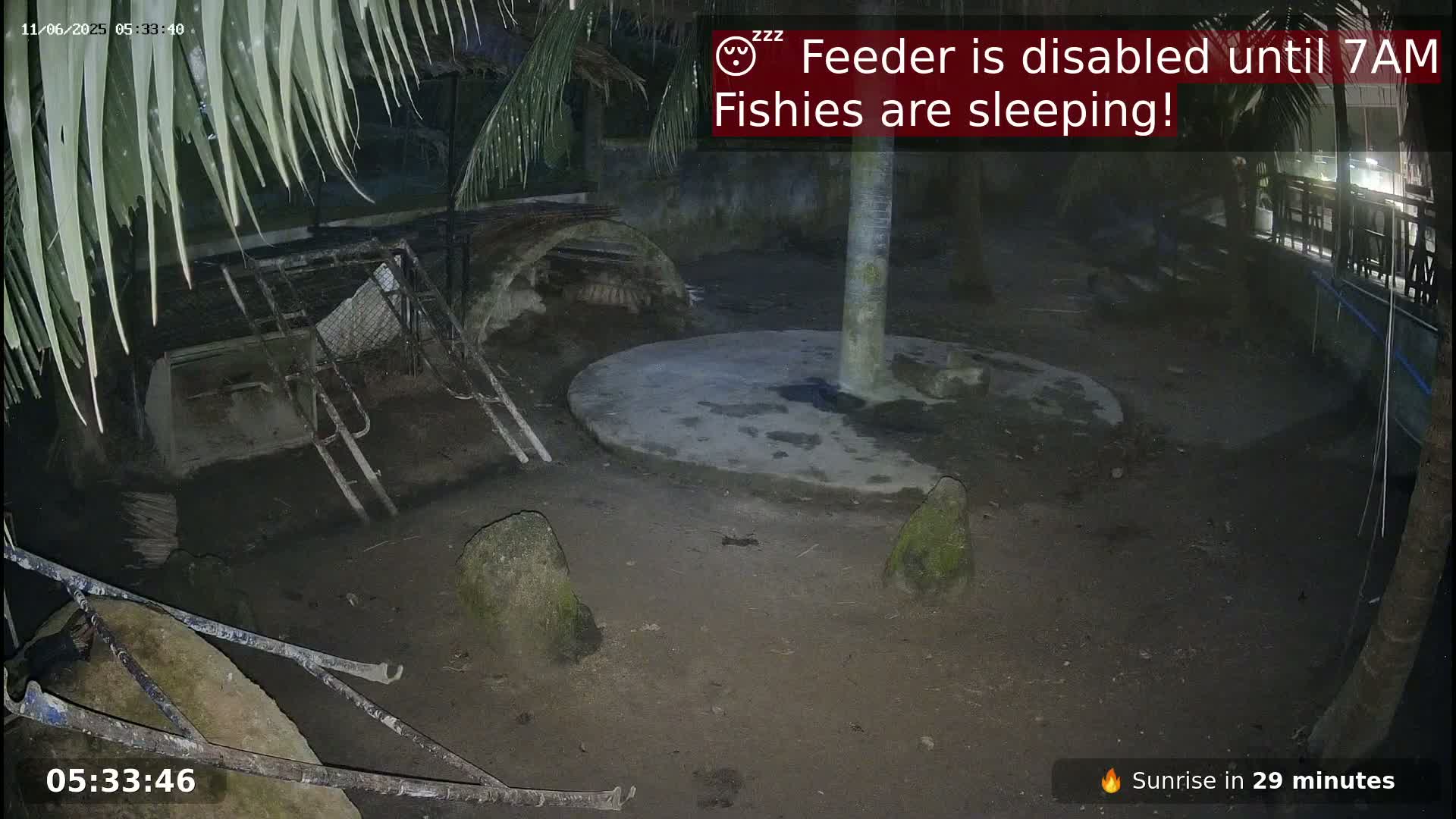 Zoo Cafe · Feed the Life of Fishes, Emus, Deers, Turtles, Malas  Live Cam  - Amphoe Ko Pha - Ngan, Surat Thani, Thailand