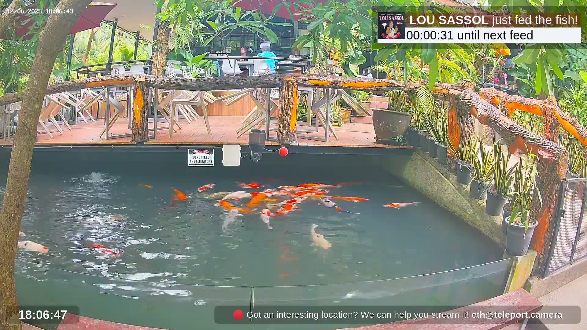 A koi pond filled with orange and white fish is situated next to an outdoor restaurant with wooden tables and chairs under a partly shaded area.