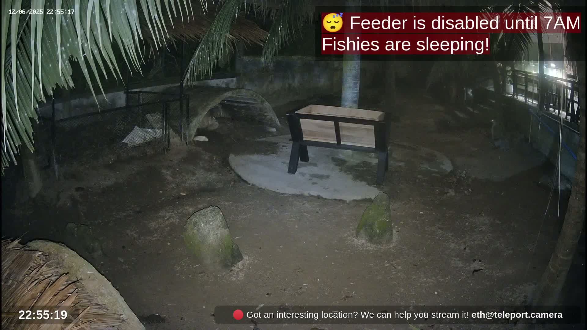 At night, an empty animal feeder sits in a dark enclosure with rocks and partial vegetation visible.
