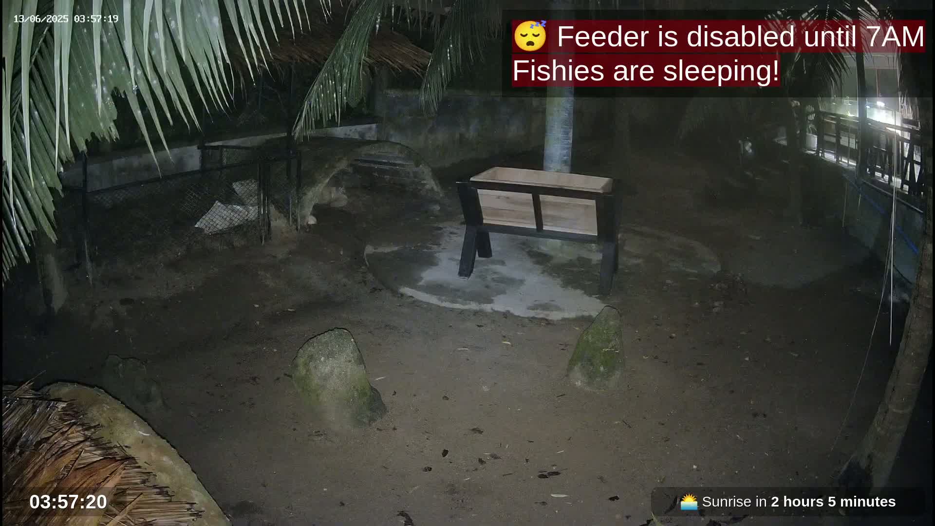 Zoo Cafe · Feed the Life of Fishes, Emus, Deers, Turtles, Malas  Live Cam  - Amphoe Ko Pha - Ngan, Surat Thani, Thailand