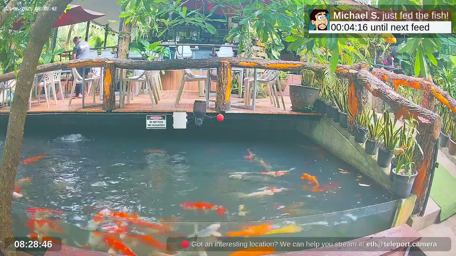 Zoo Cafe · Feed the Life of Fishes, Emus, Deers, Turtles, Malas  Live Cam  - Amphoe Ko Pha - Ngan, Surat Thani, Thailand