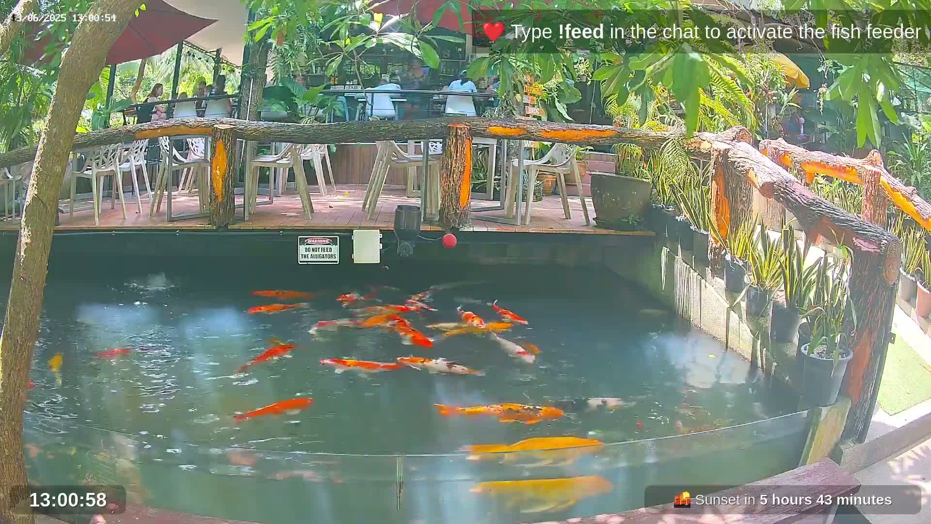 Zoo Cafe · Feed the Life of Fishes, Emus, Deers, Turtles, Malas  Live Cam  - Amphoe Ko Pha - Ngan, Surat Thani, Thailand