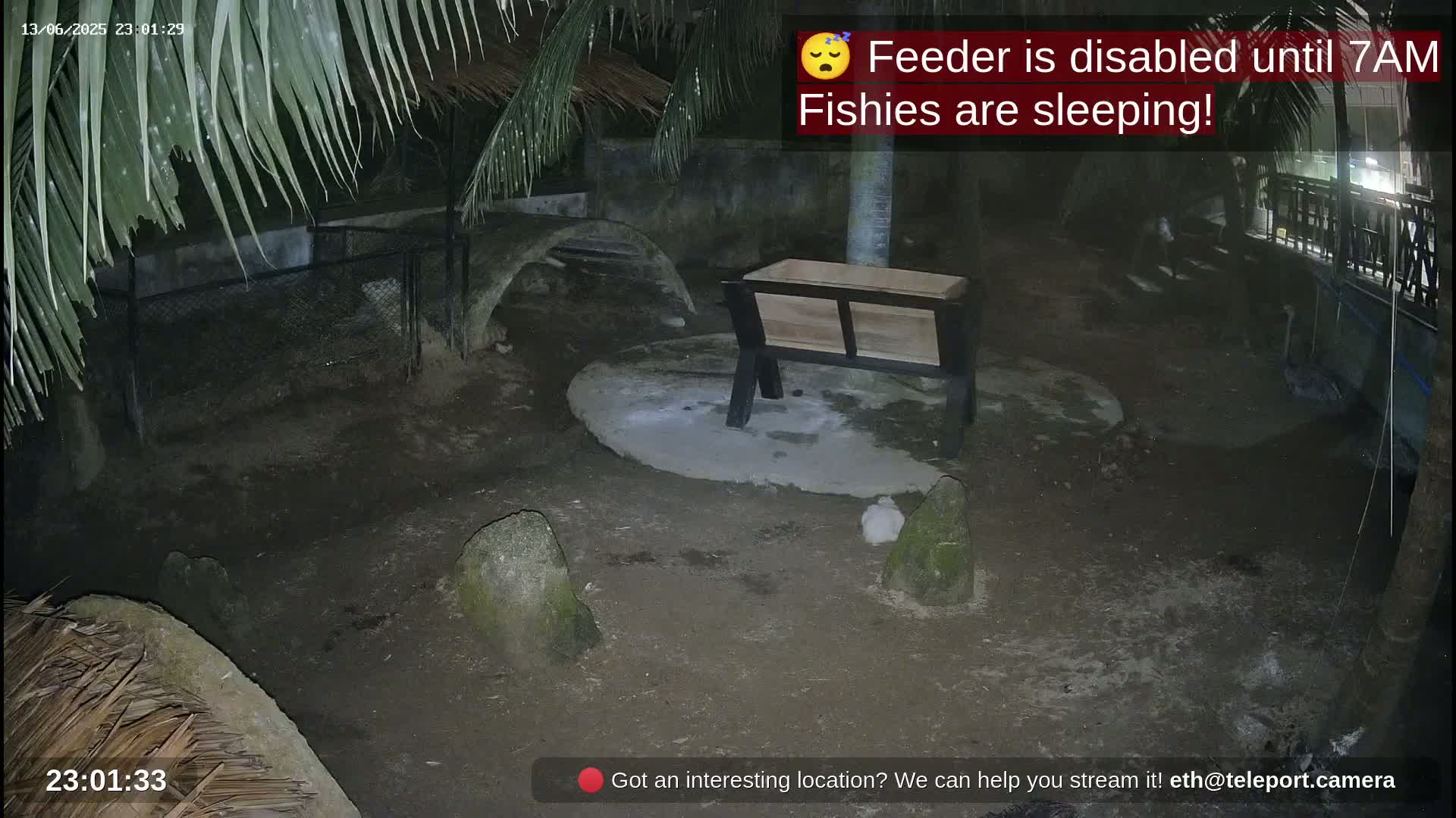 A nighttime outdoor scene shows a dark, dirt enclosure with rocks, a wooden trough, and palm trees under a dark sky.