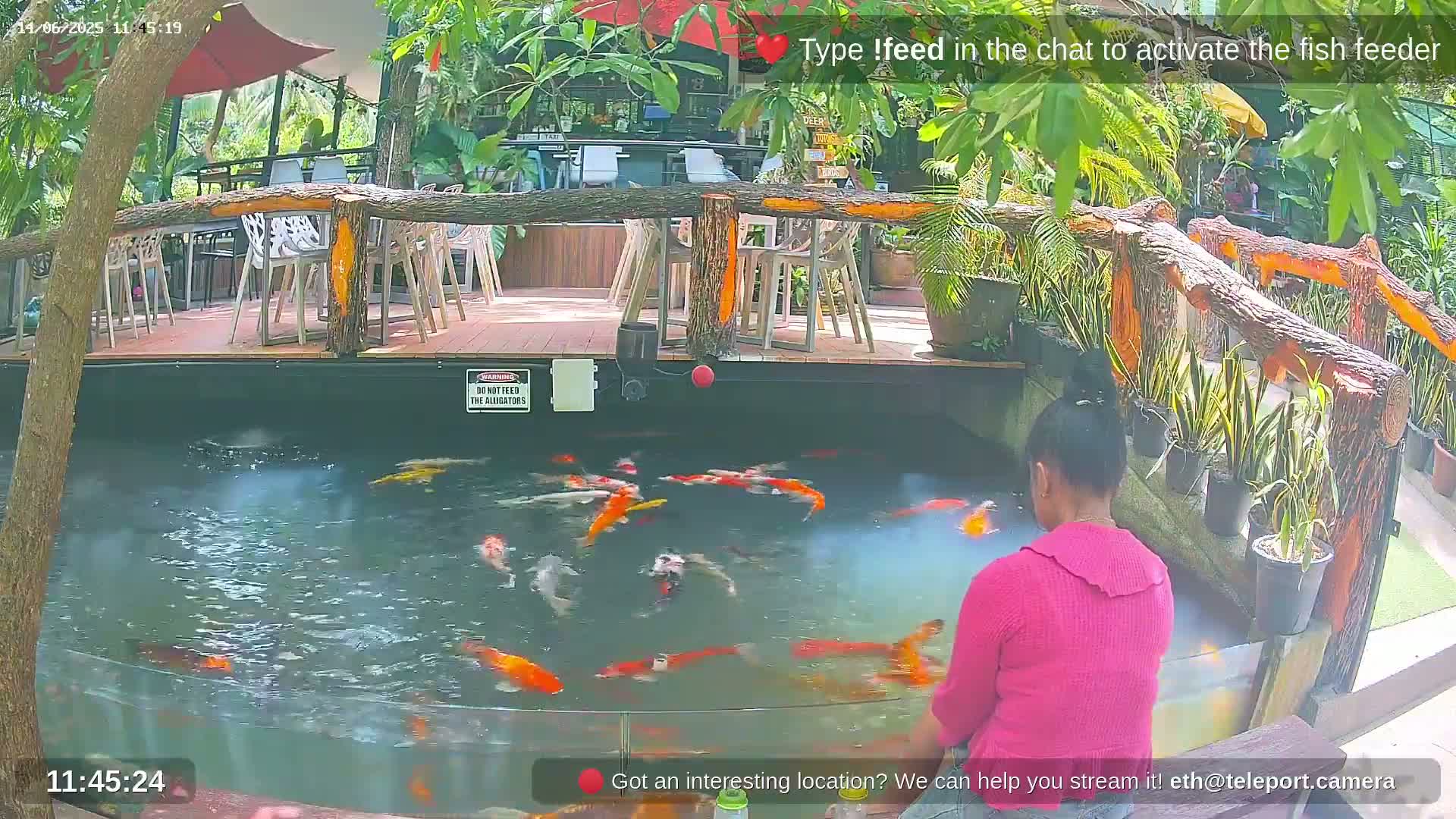 Zoo Cafe · Feed the Life of Fishes, Emus, Deers, Turtles, Malas  Live Cam  - Amphoe Ko Pha - Ngan, Surat Thani, Thailand