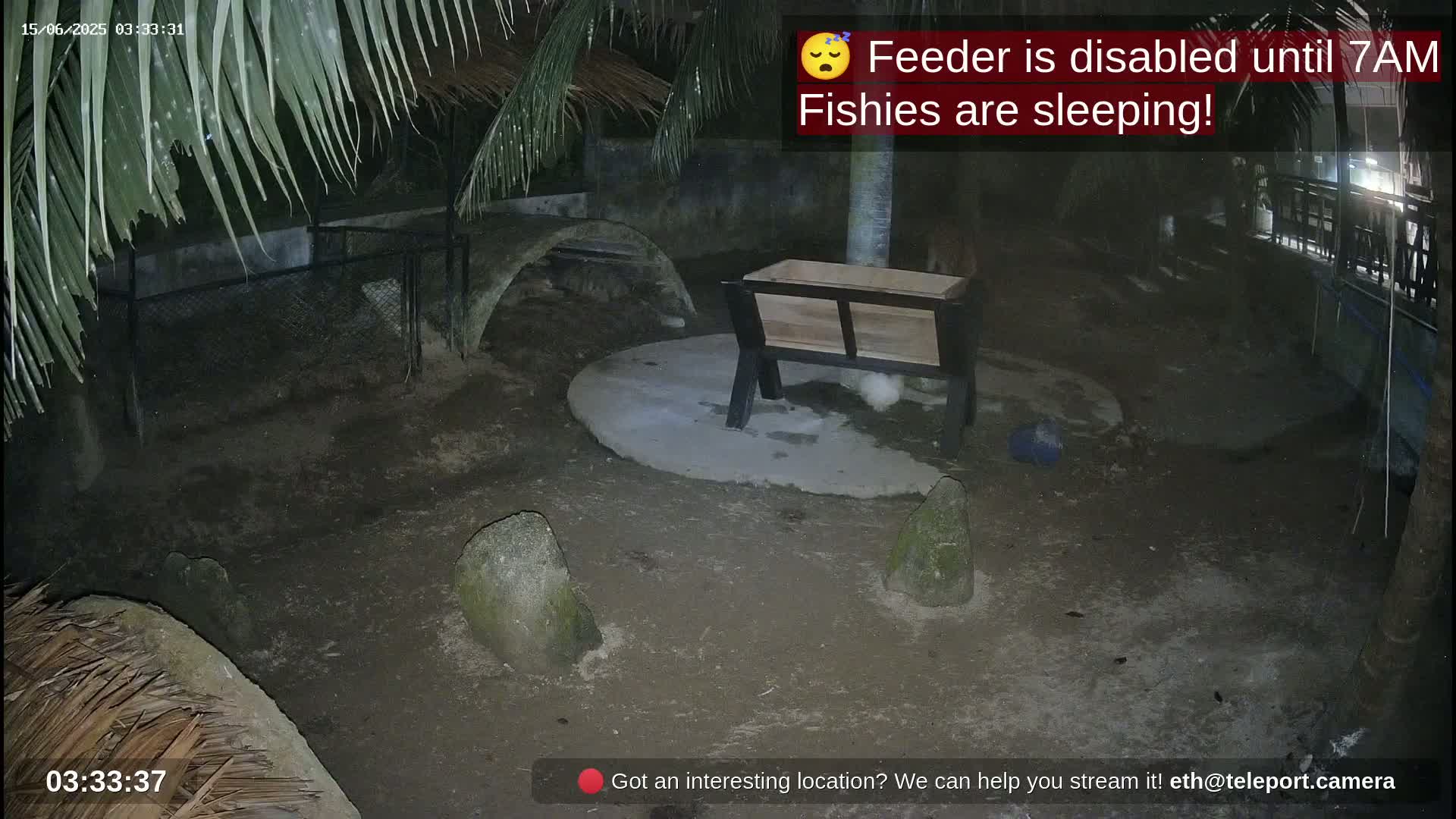 A nighttime, outdoor scene shows a dirt enclosure with a wooden trough, several rocks, and parts of a thatched roof and a fence under palm fronds.