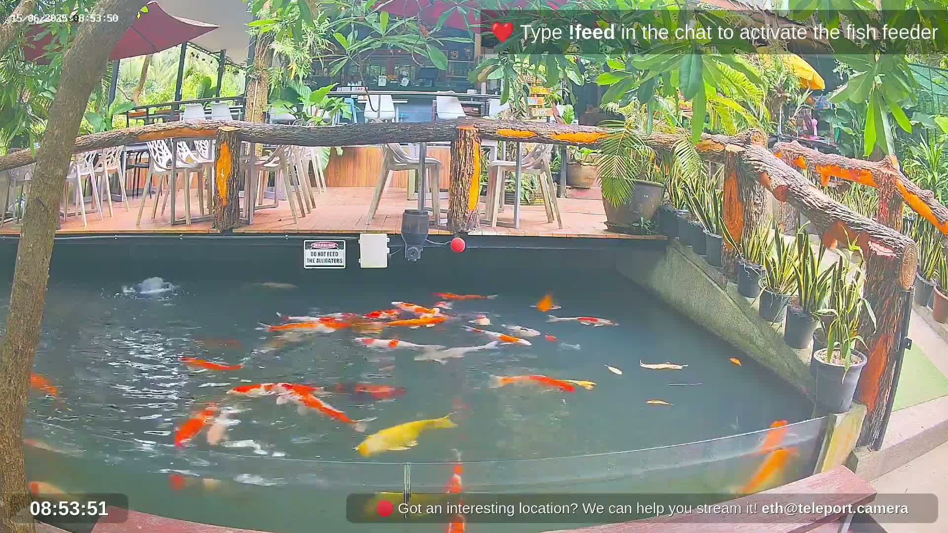Zoo Cafe · Feed the Life of Fishes, Emus, Deers, Turtles, Malas  Live Cam  - Amphoe Ko Pha - Ngan, Surat Thani, Thailand