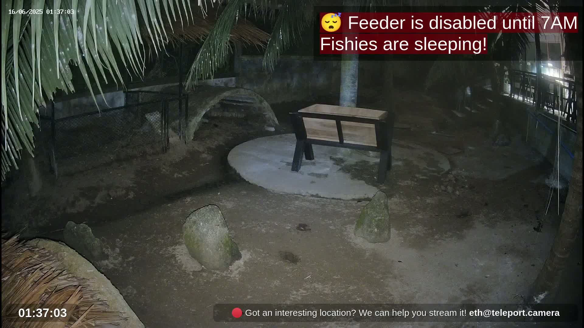 Zoo Cafe · Feed the Life of Fishes, Emus, Deers, Turtles, Malas  Live Cam  - Amphoe Ko Pha - Ngan, Surat Thani, Thailand