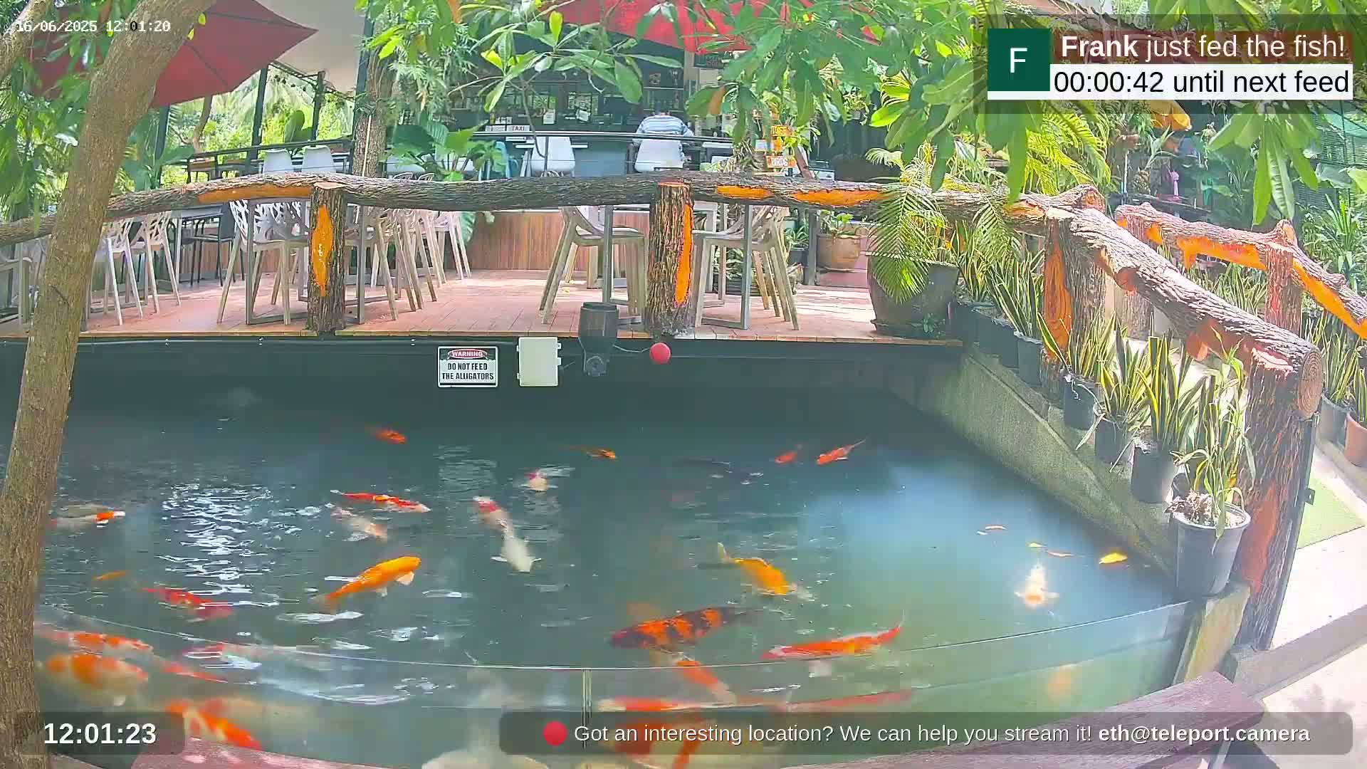 Zoo Cafe · Feed the Life of Fishes, Emus, Deers, Turtles, Malas  Live Cam  - Amphoe Ko Pha - Ngan, Surat Thani, Thailand