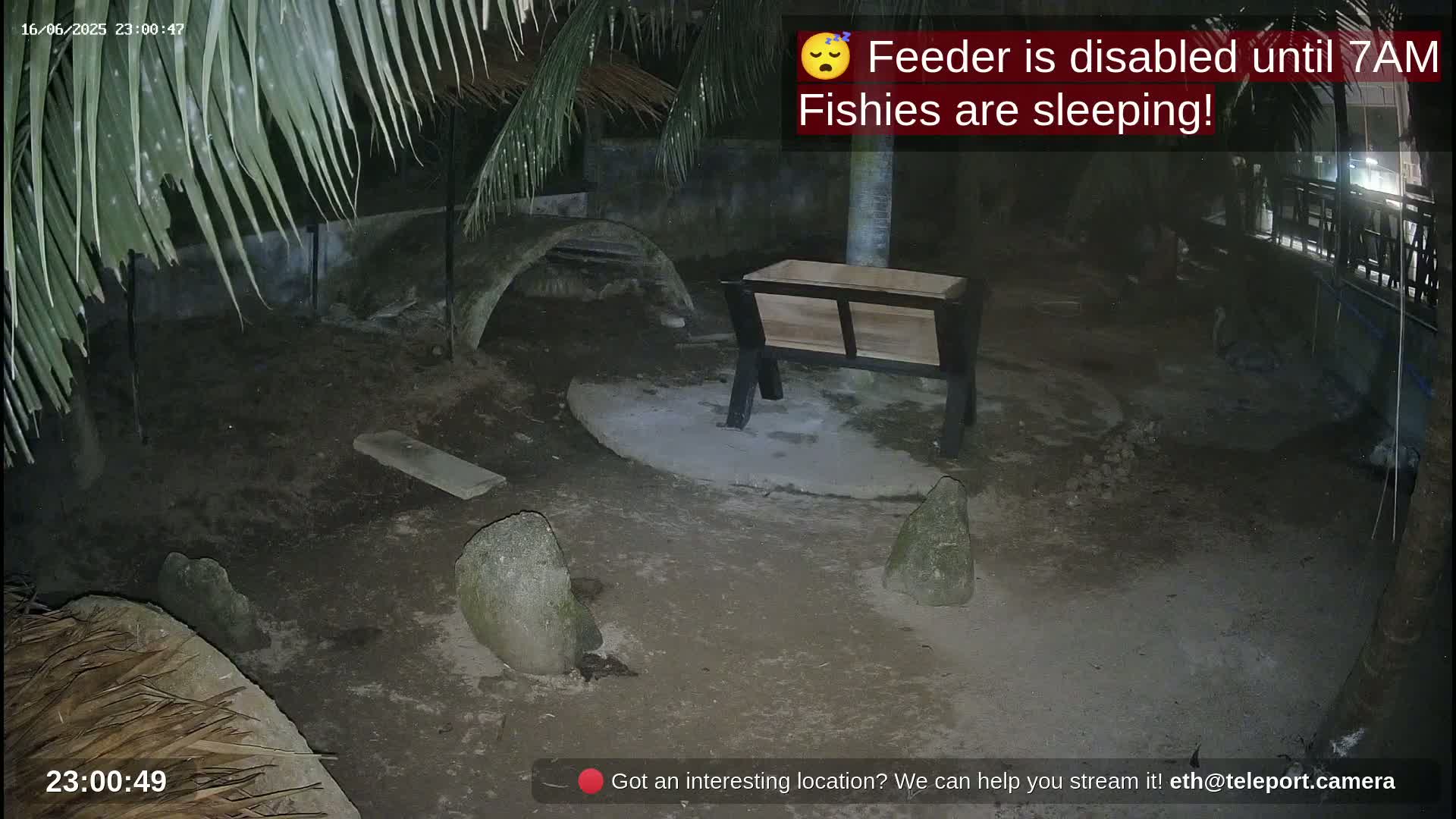 A nighttime, outdoor scene shows a dark, dirt ground with several large rocks, a wooden trough, and a partially visible thatched structure under palm fronds.