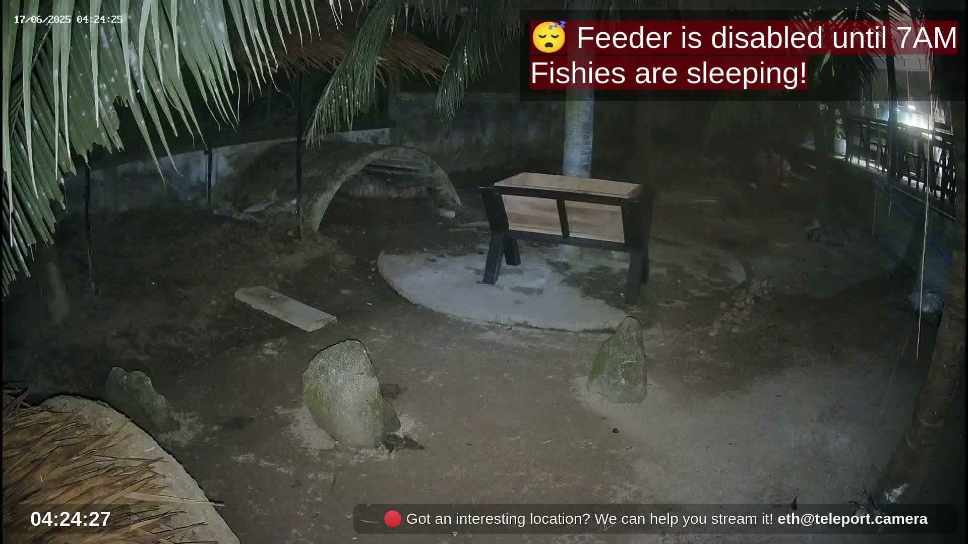 Zoo Cafe · Feed the Life of Fishes, Emus, Deers, Turtles, Malas  Live Cam  - Amphoe Ko Pha - Ngan, Surat Thani, Thailand