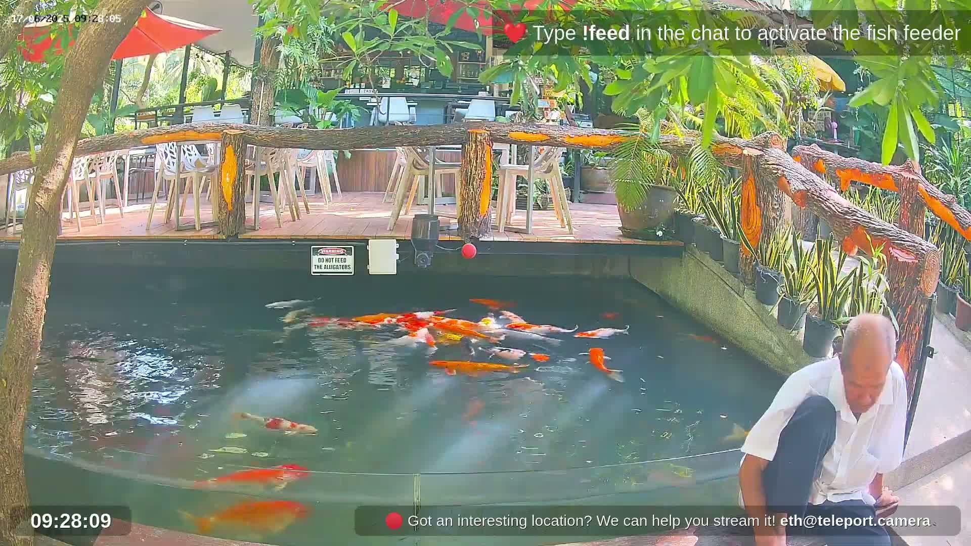 Zoo Cafe · Feed the Life of Fishes, Emus, Deers, Turtles, Malas  Live Cam  - Amphoe Ko Pha - Ngan, Surat Thani, Thailand