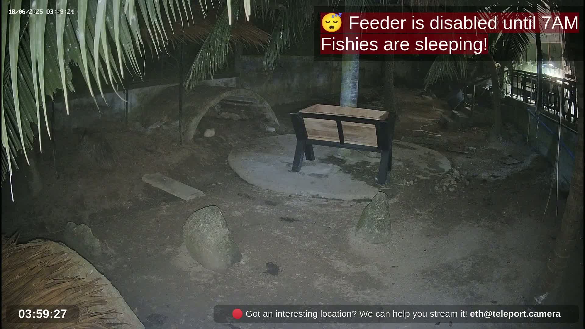 Zoo Cafe · Feed the Life of Fishes, Emus, Deers, Turtles, Malas  Live Cam  - Amphoe Ko Pha - Ngan, Surat Thani, Thailand