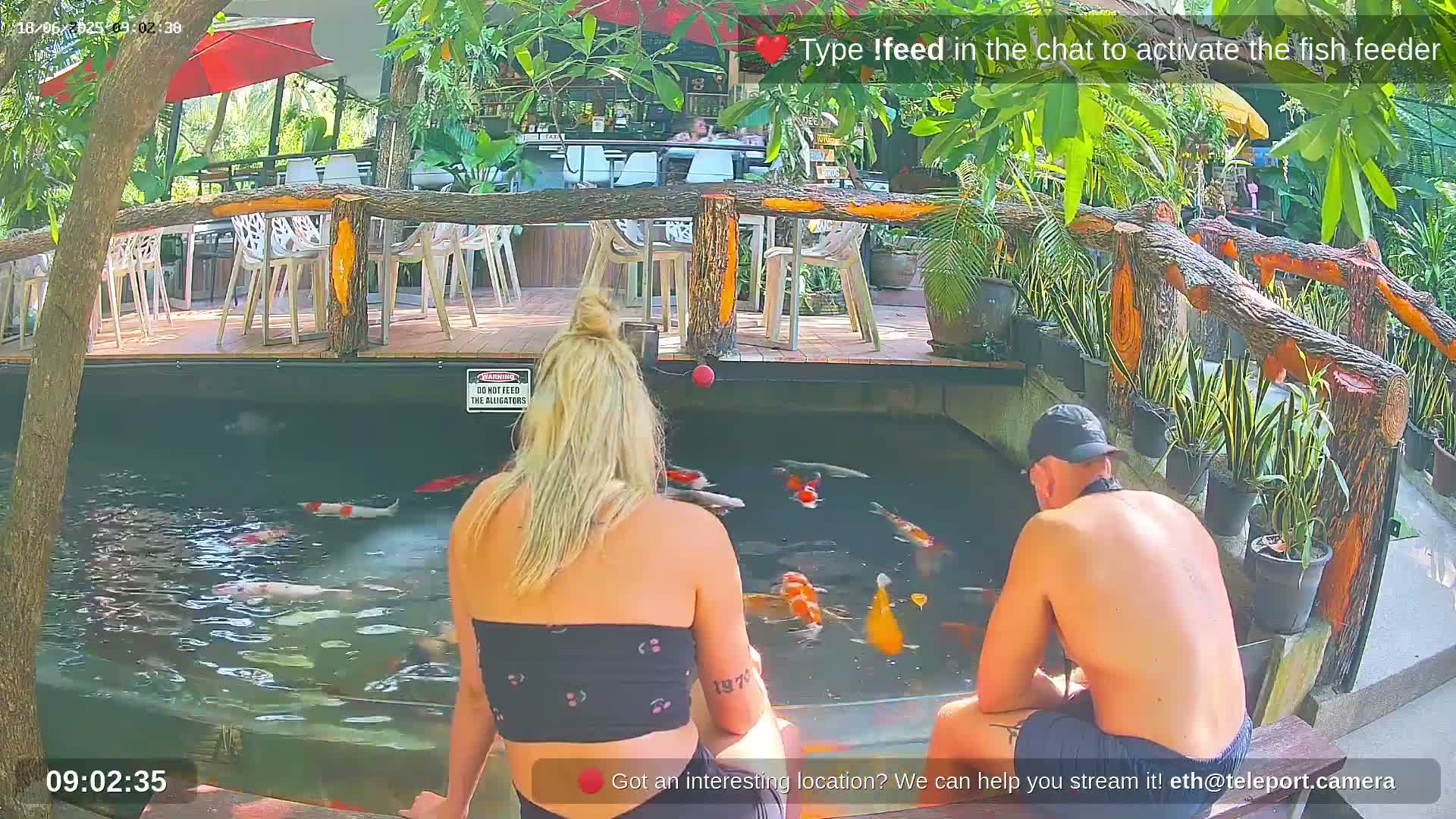 Zoo Cafe · Feed the Life of Fishes, Emus, Deers, Turtles, Malas  Live Cam  - Amphoe Ko Pha - Ngan, Surat Thani, Thailand