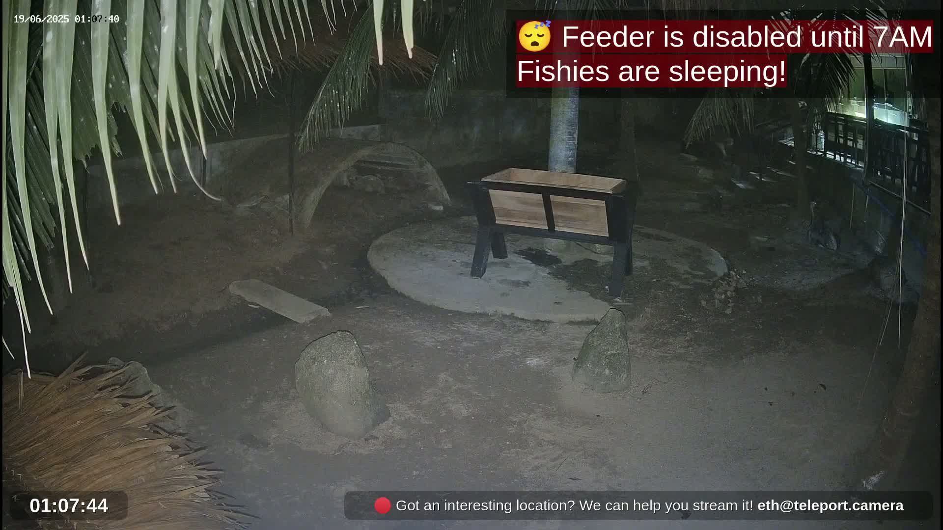 A nighttime outdoor scene shows a wooden feeder, several rocks, and a partially visible thatched structure under dim lighting.