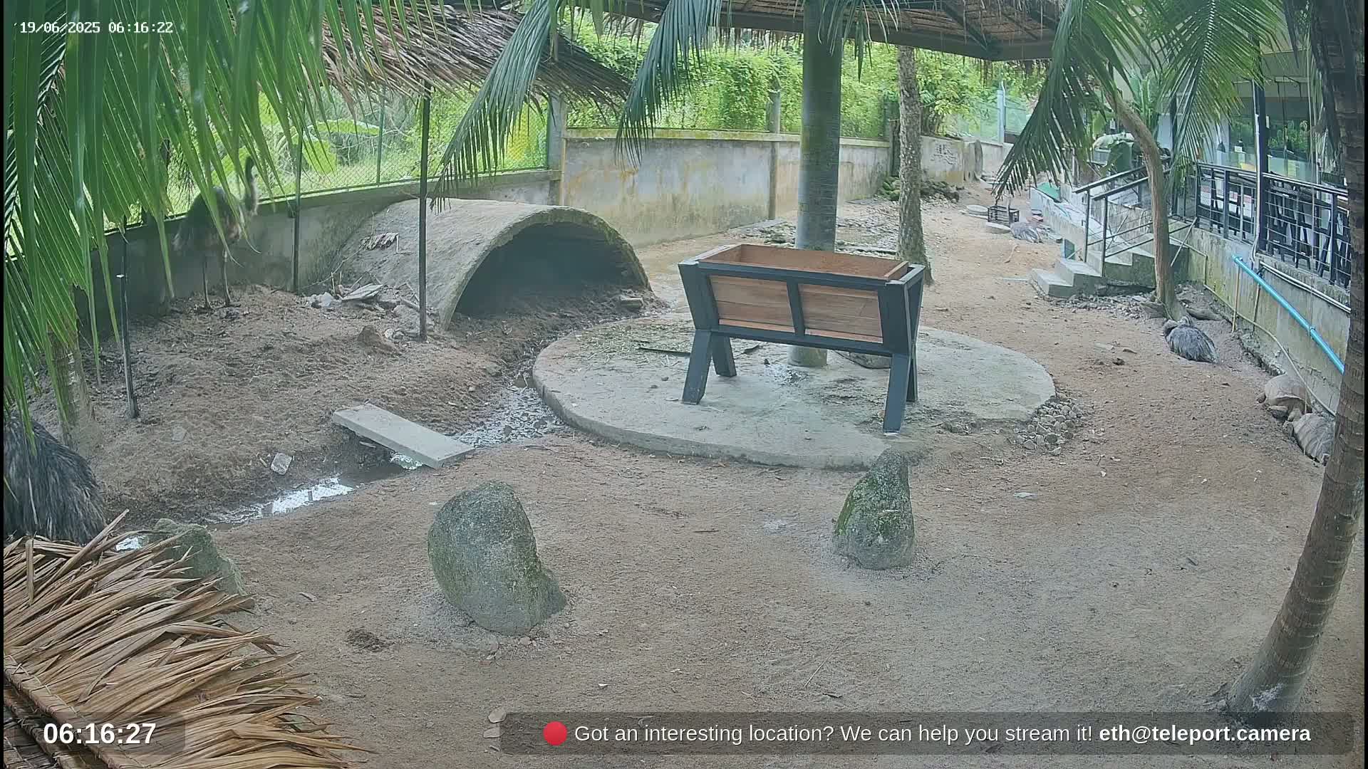 Zoo Cafe · Feed the Life of Fishes, Emus, Deers, Turtles, Malas  Live Cam  - Amphoe Ko Pha - Ngan, Surat Thani, Thailand