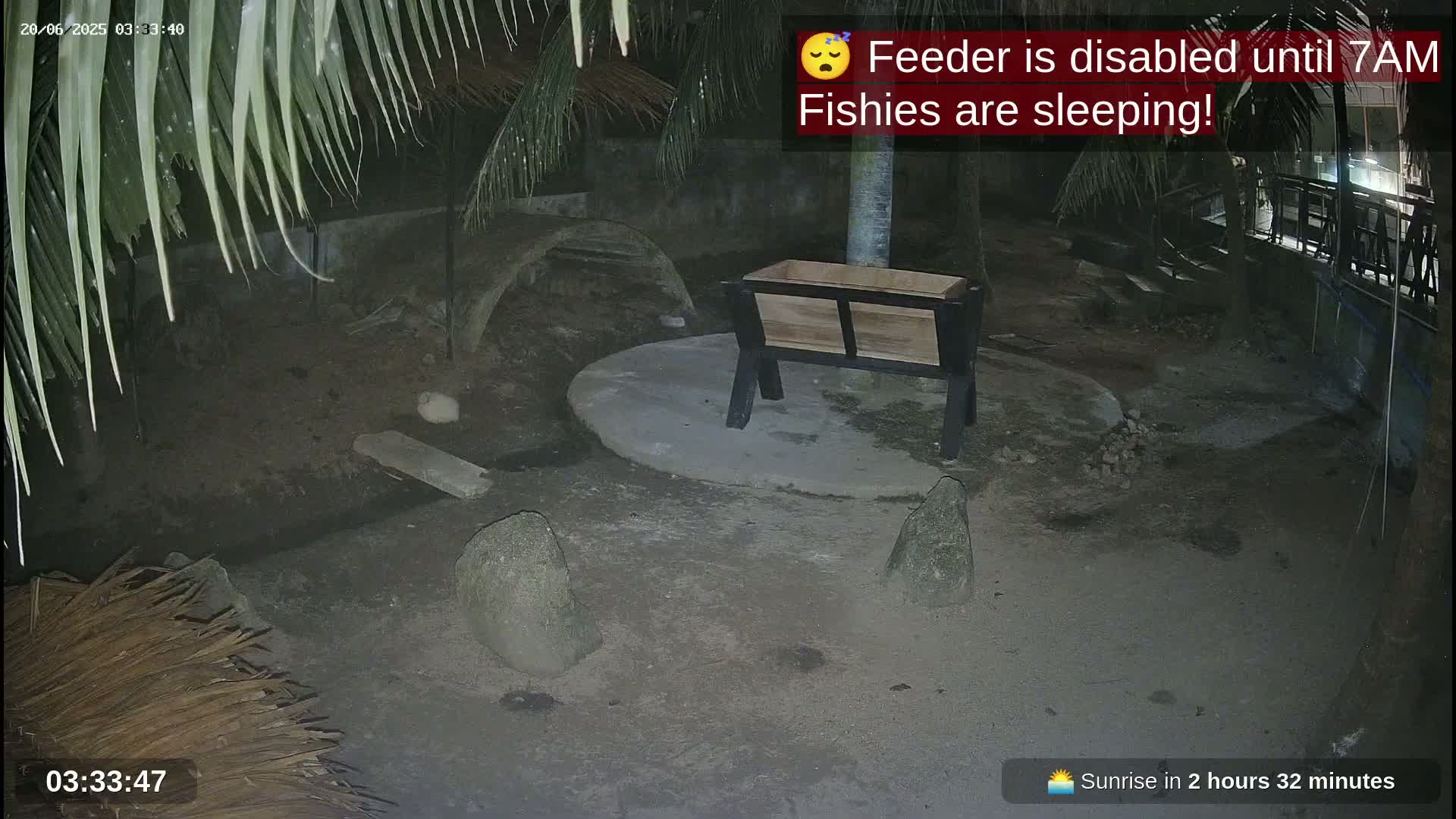 Zoo Cafe · Feed the Life of Fishes, Emus, Deers, Turtles, Malas  Live Cam  - Amphoe Ko Pha - Ngan, Surat Thani, Thailand