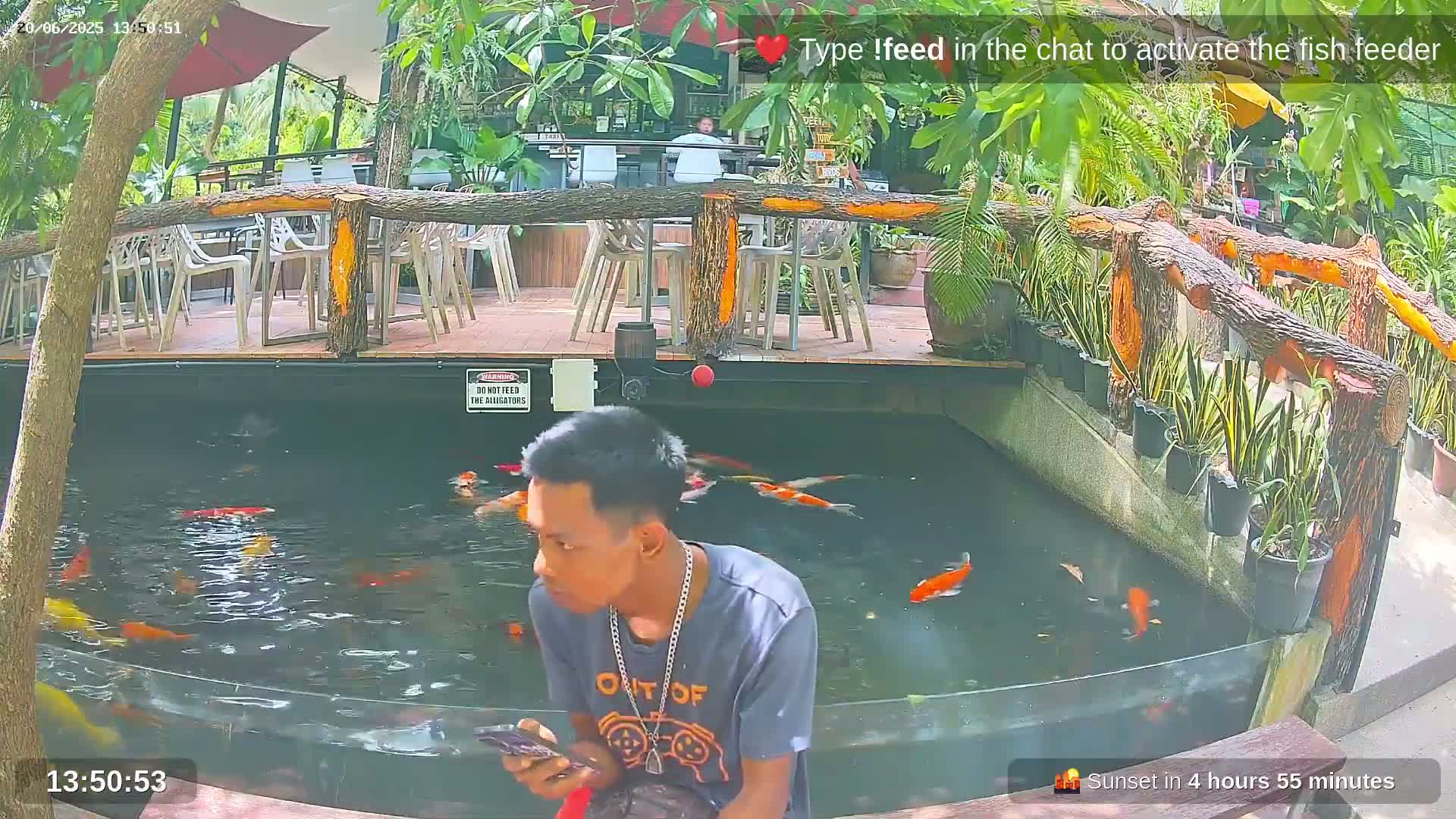 Zoo Cafe · Feed the Life of Fishes, Emus, Deers, Turtles, Malas  Live Cam  - Amphoe Ko Pha - Ngan, Surat Thani, Thailand