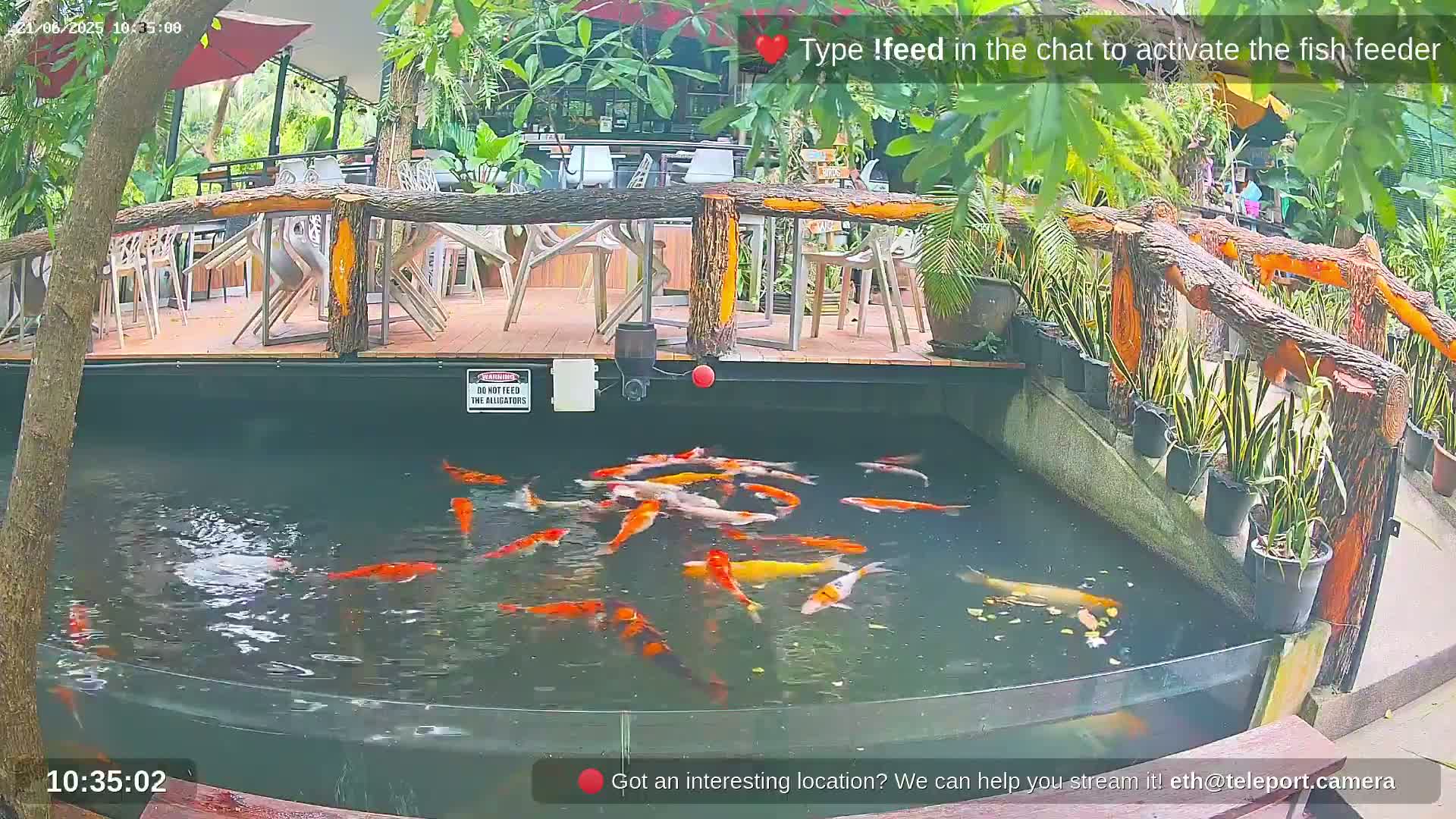 Zoo Cafe · Feed the Life of Fishes, Emus, Deers, Turtles, Malas  Live Cam  - Amphoe Ko Pha - Ngan, Surat Thani, Thailand