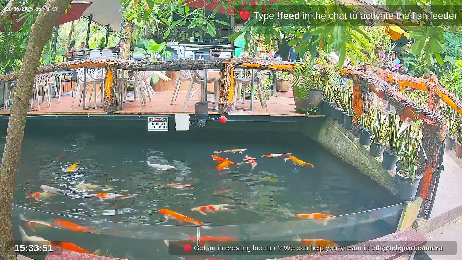 A koi pond with numerous colorful fish is situated next to an outdoor restaurant area with tables and chairs under a partly shaded canopy.