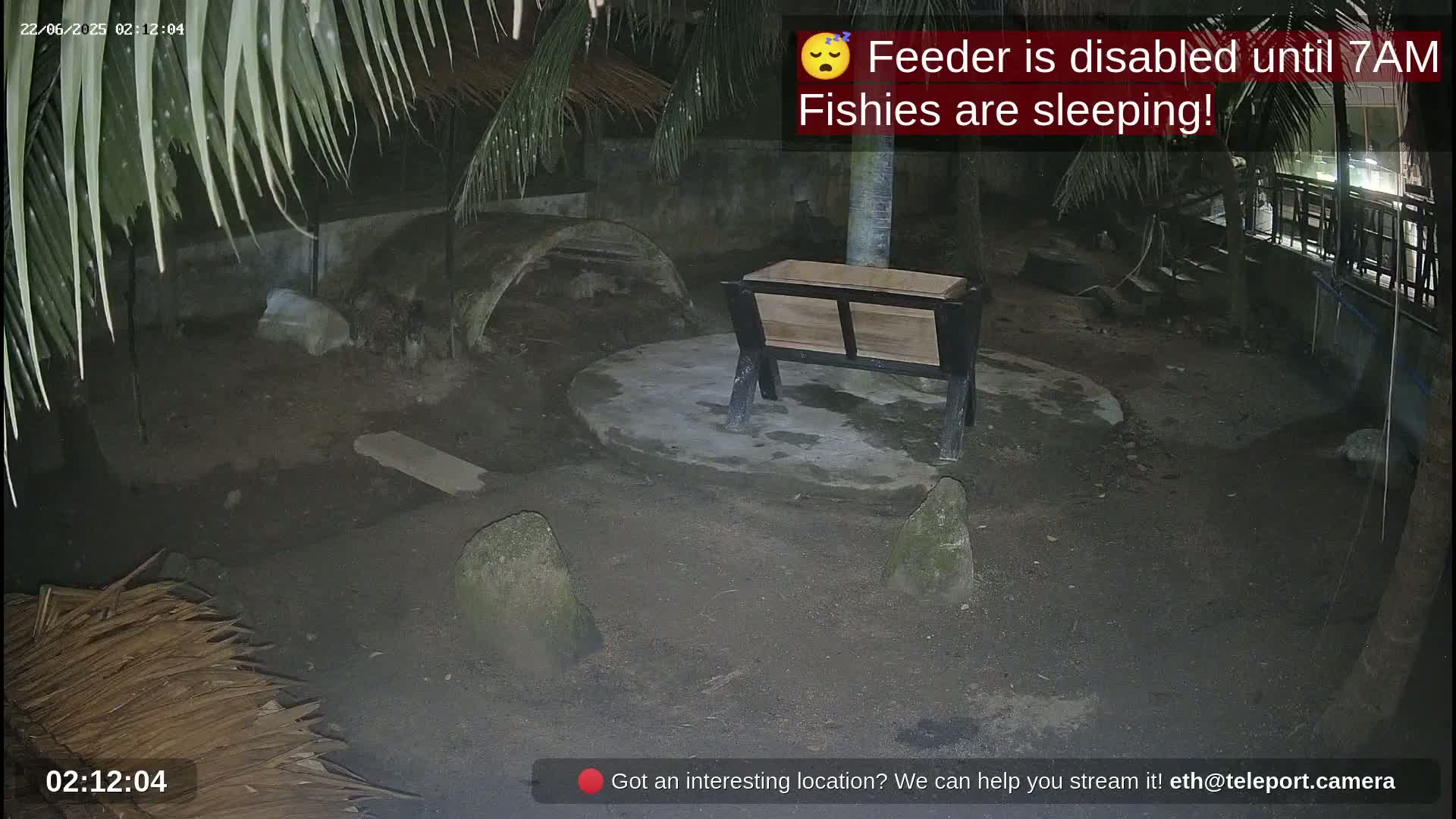 Zoo Cafe · Feed the Life of Fishes, Emus, Deers, Turtles, Malas  Live Cam  - Amphoe Ko Pha - Ngan, Surat Thani, Thailand