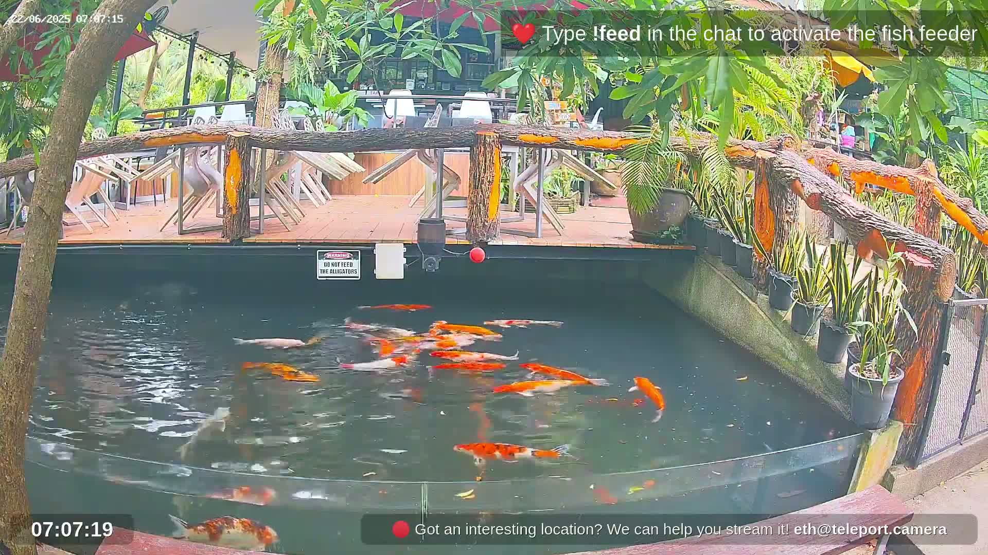 Zoo Cafe · Feed the Life of Fishes, Emus, Deers, Turtles, Malas  Live Cam  - Amphoe Ko Pha - Ngan, Surat Thani, Thailand