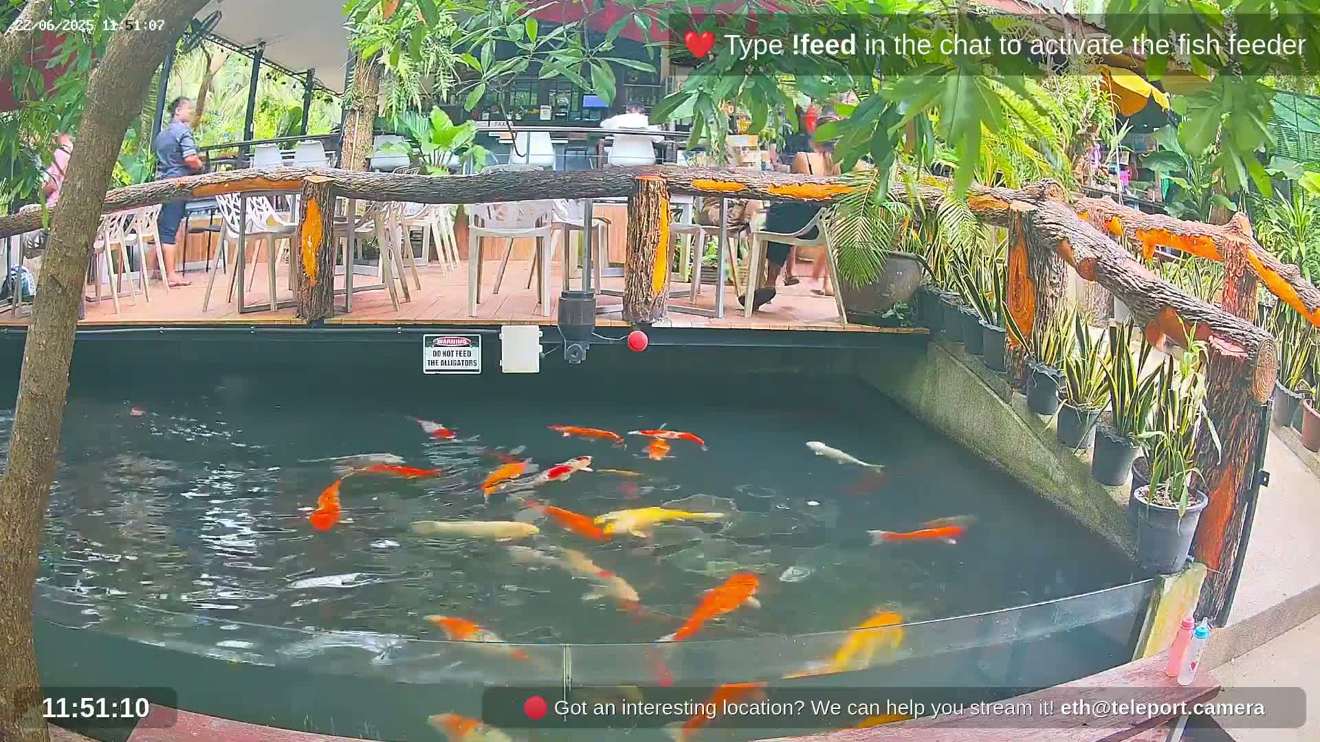 Zoo Cafe · Feed the Life of Fishes, Emus, Deers, Turtles, Malas  Live Cam  - Amphoe Ko Pha - Ngan, Surat Thani, Thailand