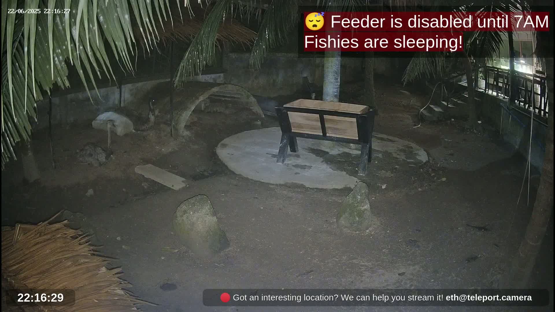 A nighttime outdoor scene shows a wooden feeder, several rocks, a curved structure, and some birds under palm trees.