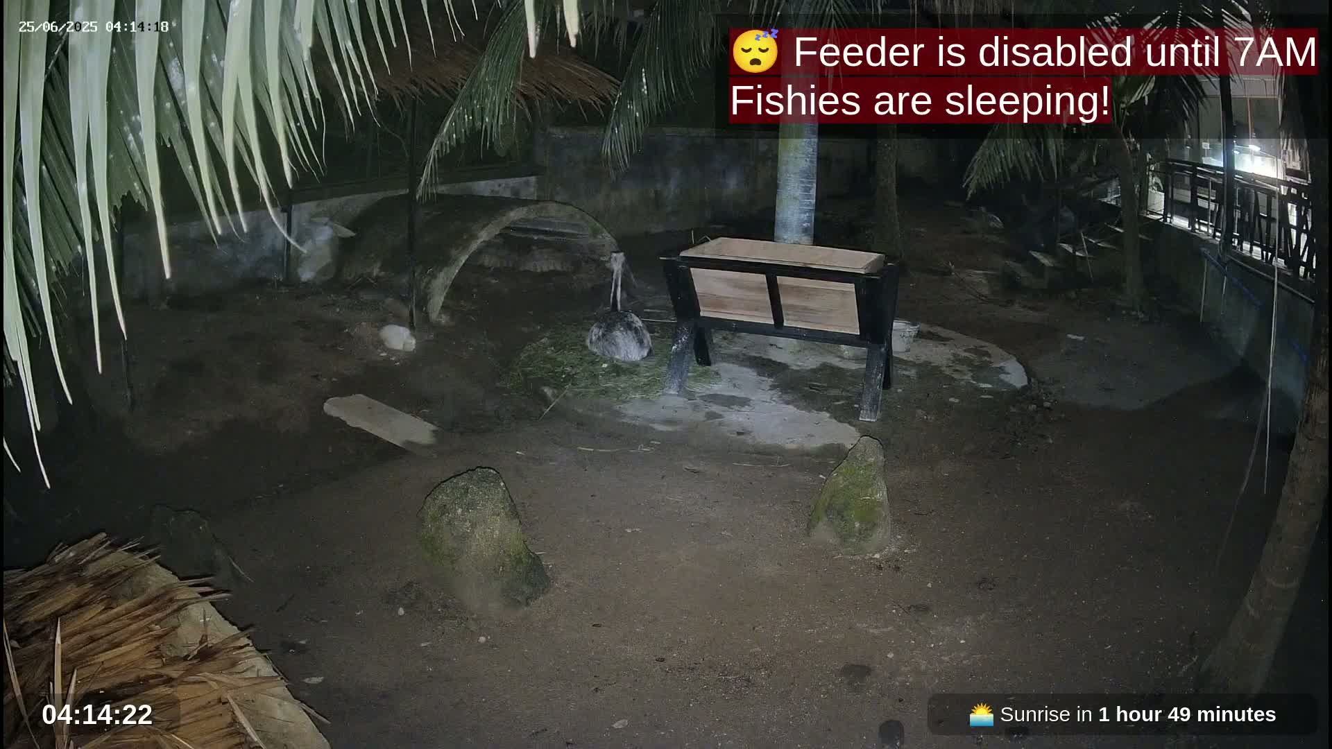 Zoo Cafe · Feed the Life of Fishes, Emus, Deers, Turtles, Malas  Live Cam  - Amphoe Ko Pha - Ngan, Surat Thani, Thailand