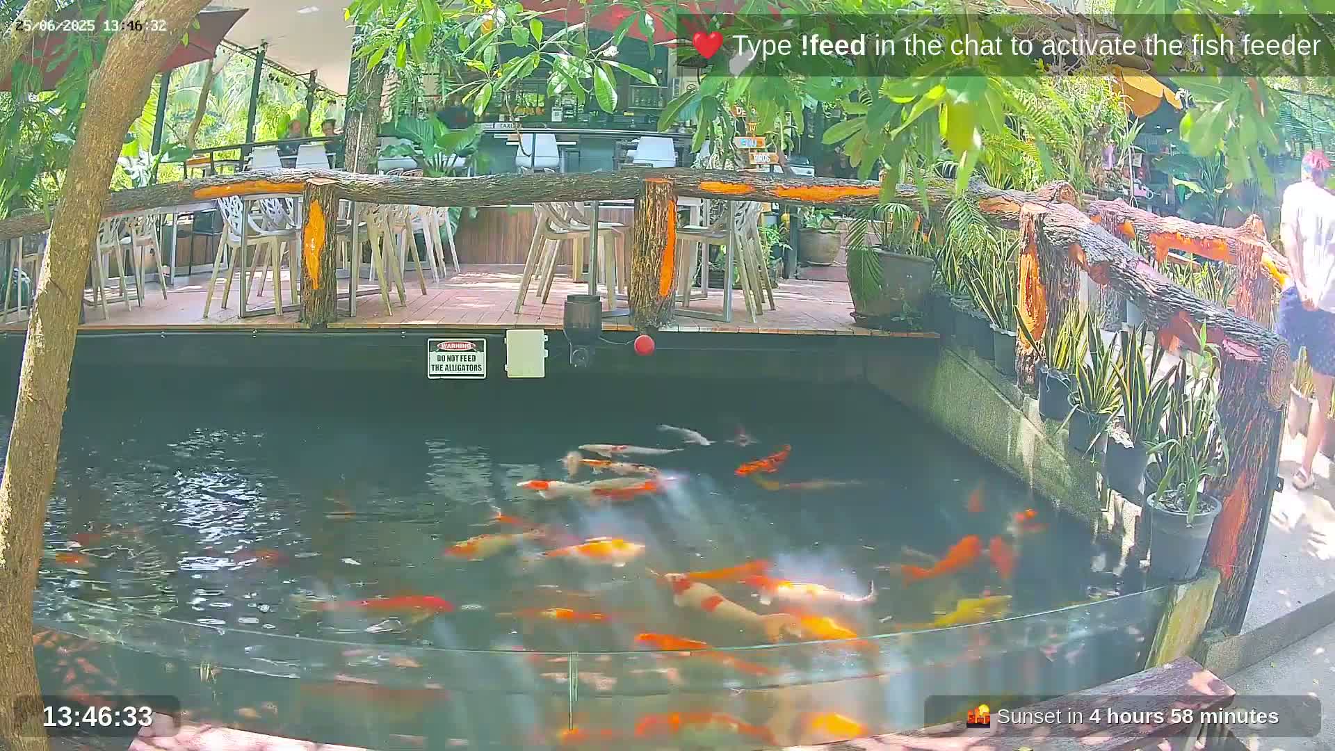 Zoo Cafe · Feed the Life of Fishes, Emus, Deers, Turtles, Malas  Live Cam  - Amphoe Ko Pha - Ngan, Surat Thani, Thailand