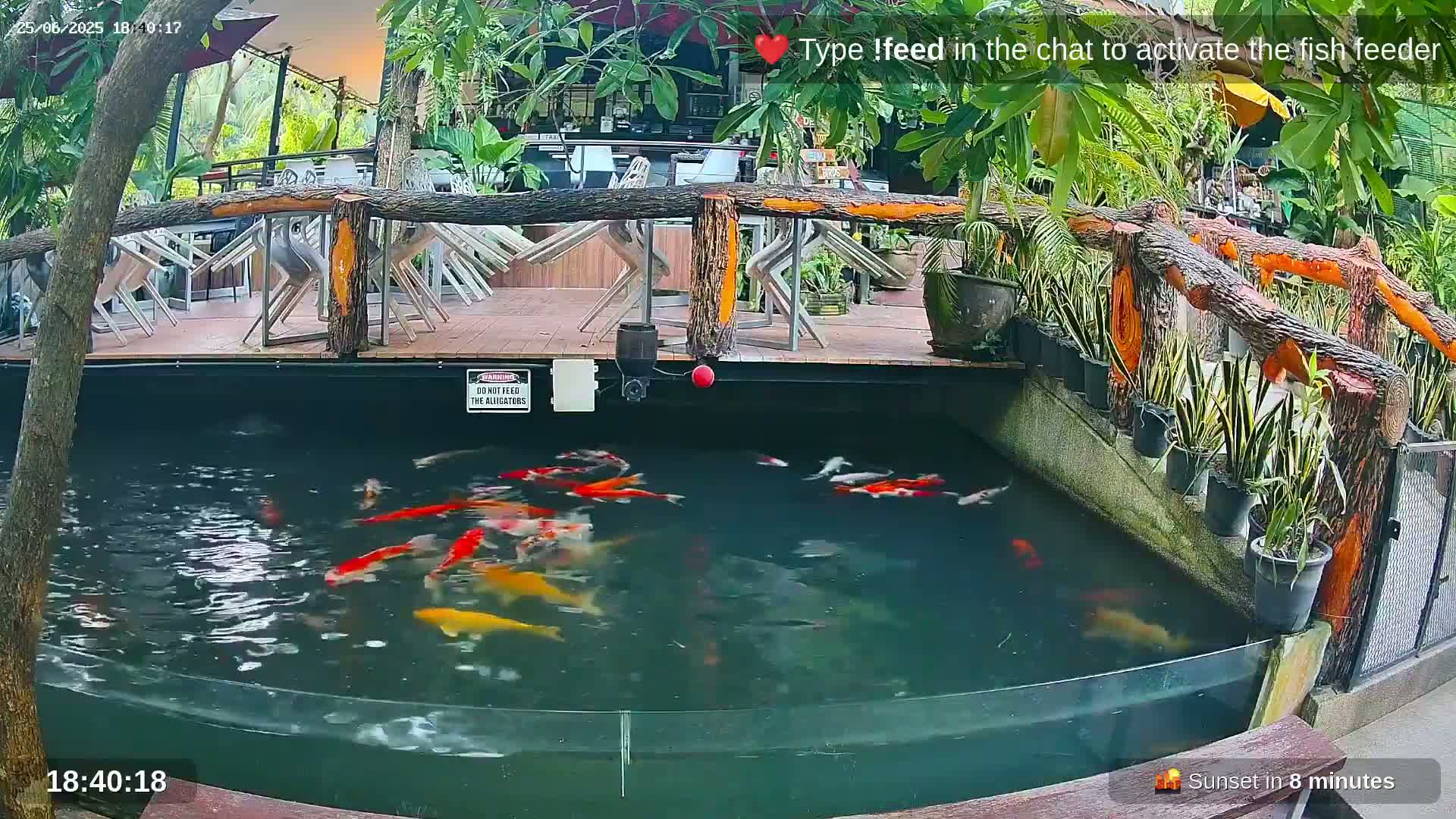 Zoo Cafe · Feed the Life of Fishes, Emus, Deers, Turtles, Malas  Live Cam  - Amphoe Ko Pha - Ngan, Surat Thani, Thailand